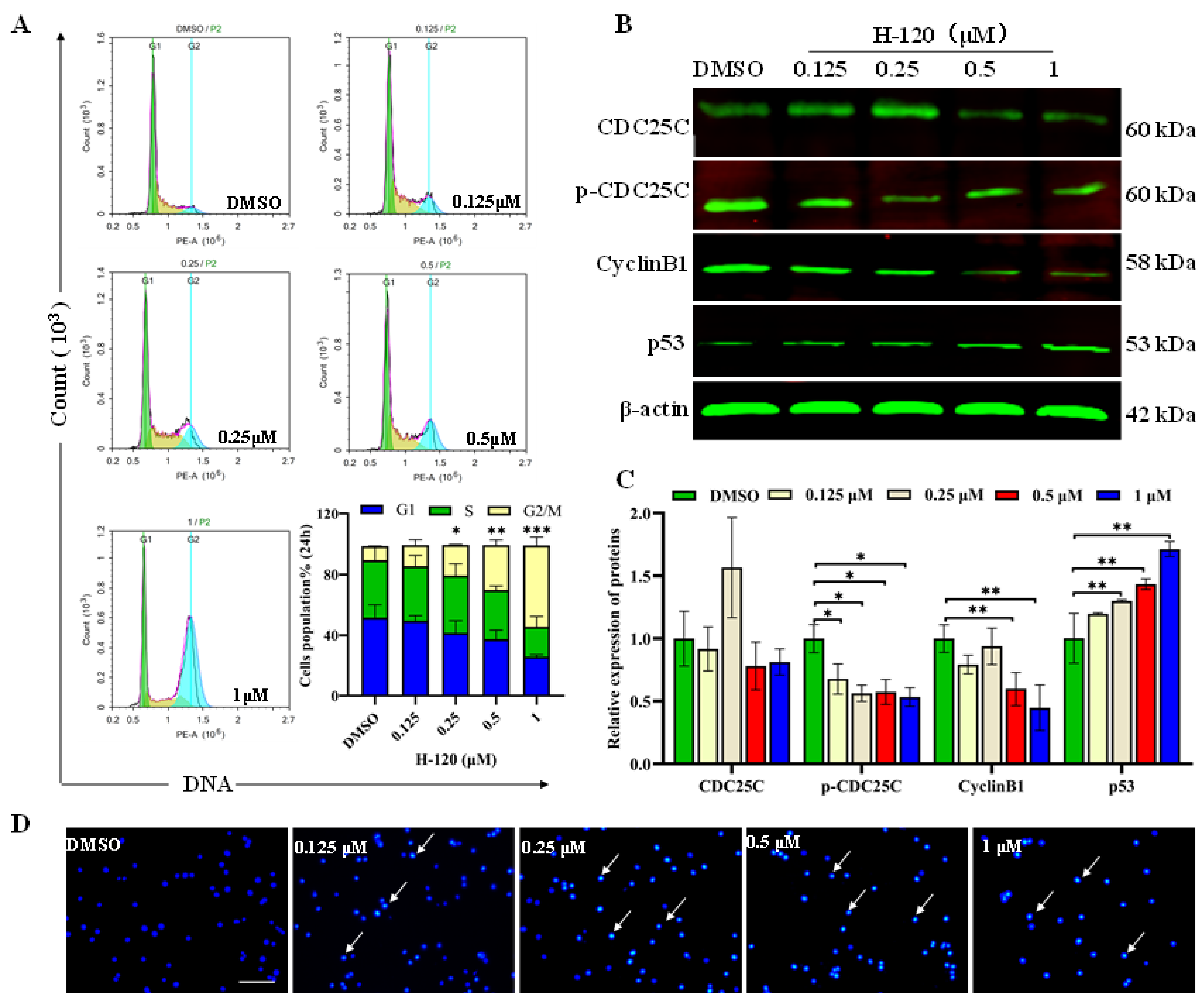 Molecules 29 01597 g003