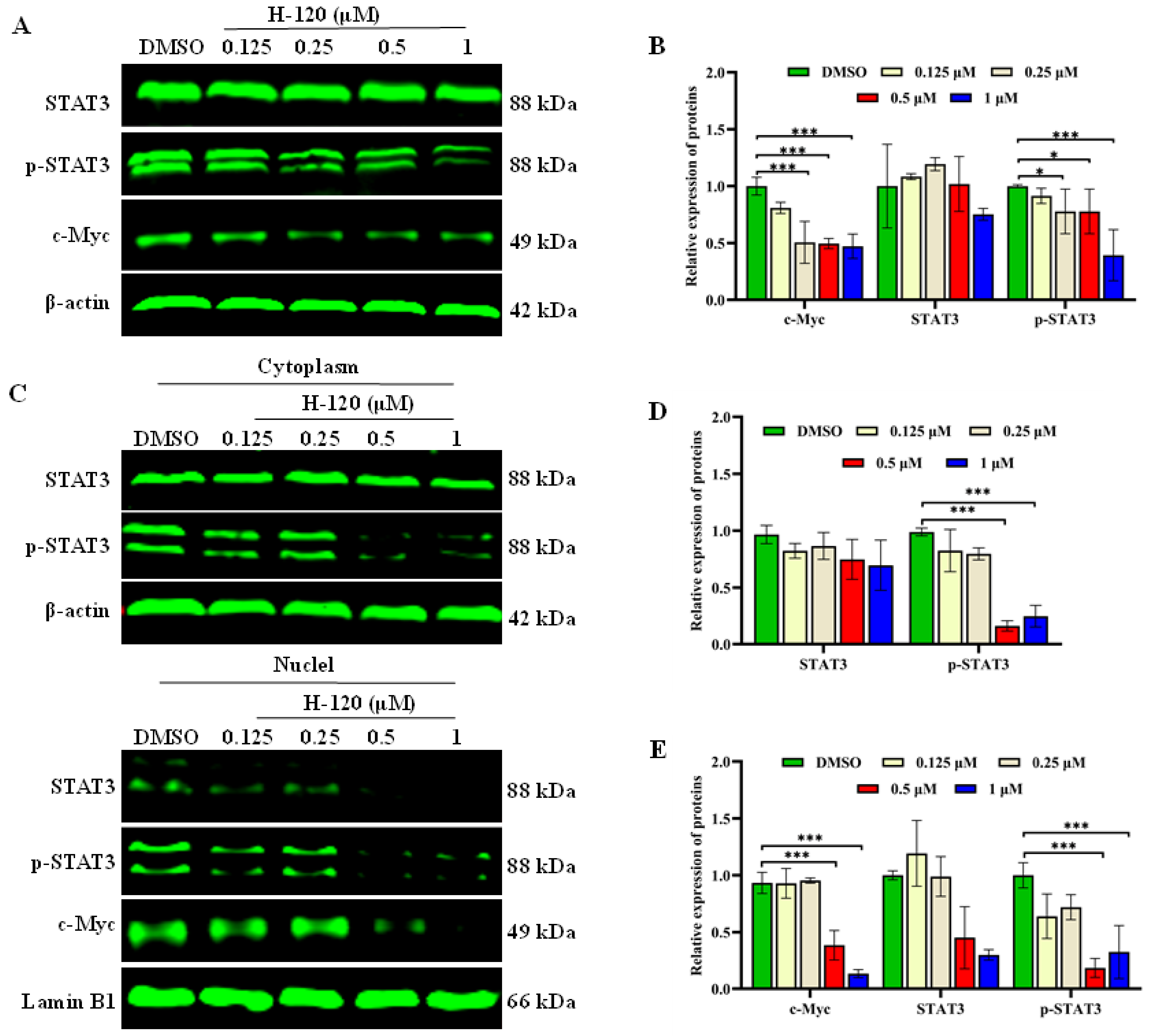 Molecules 29 01597 g005