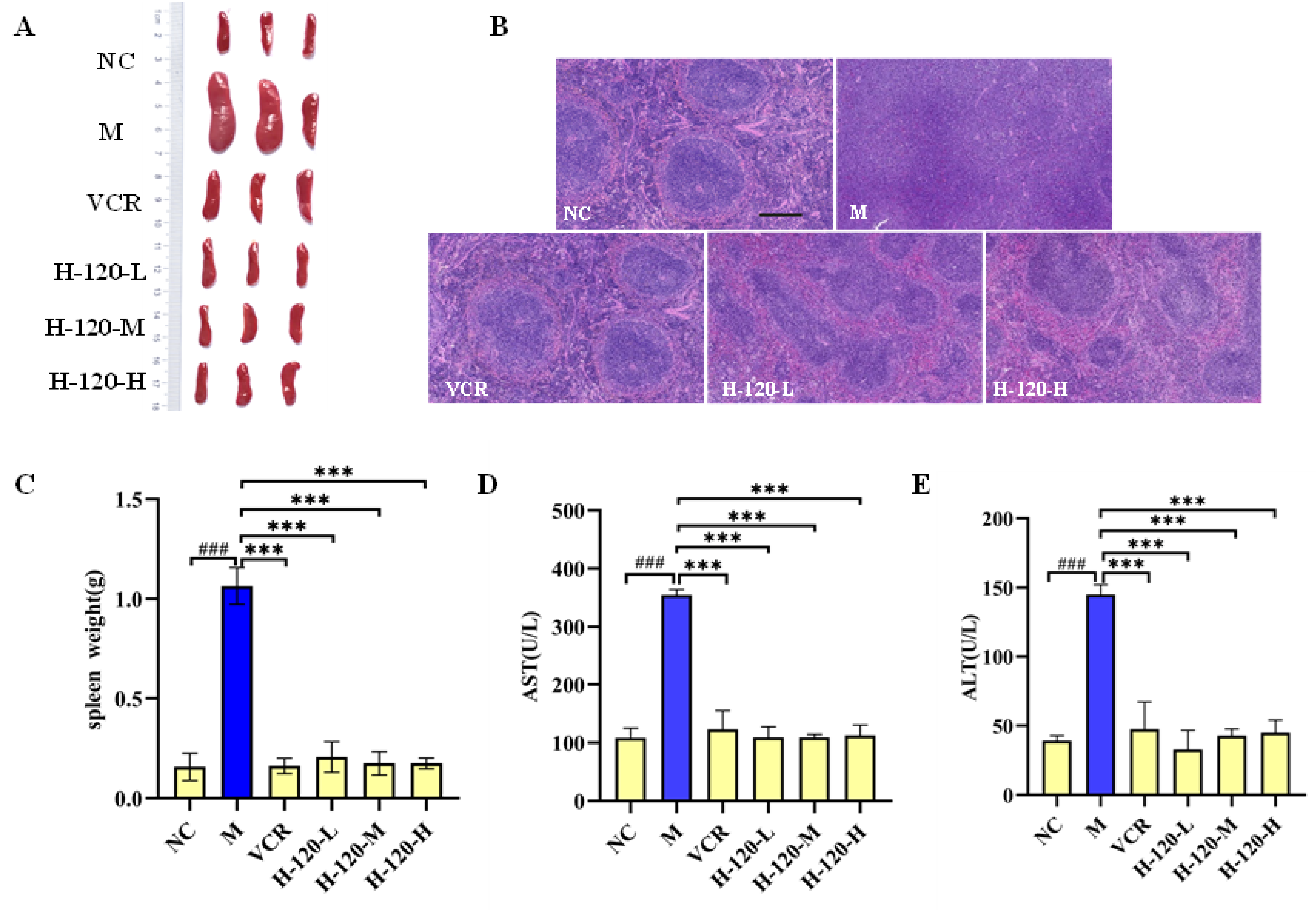 Molecules 29 01597 g006