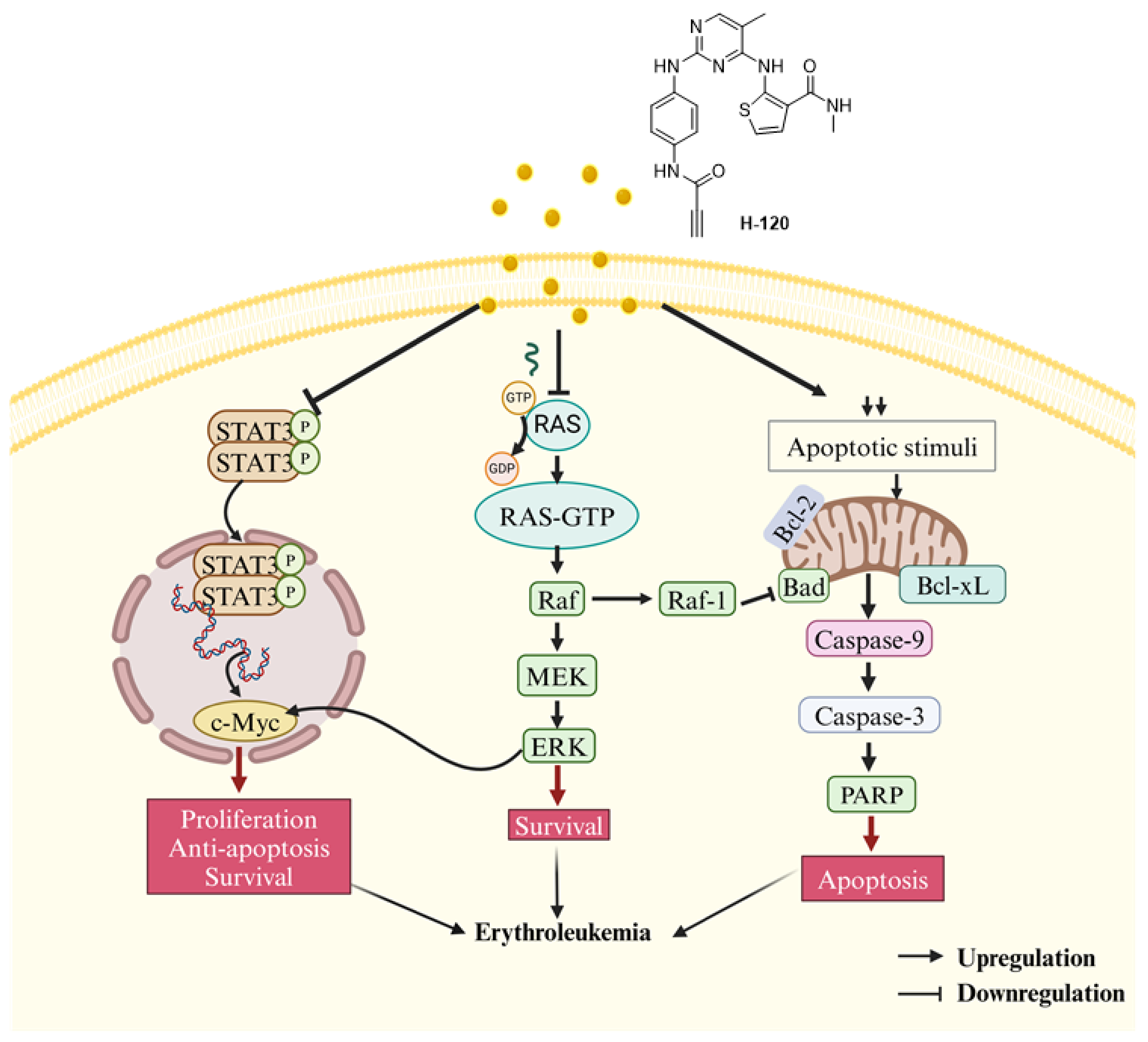 Molecules 29 01597 g008