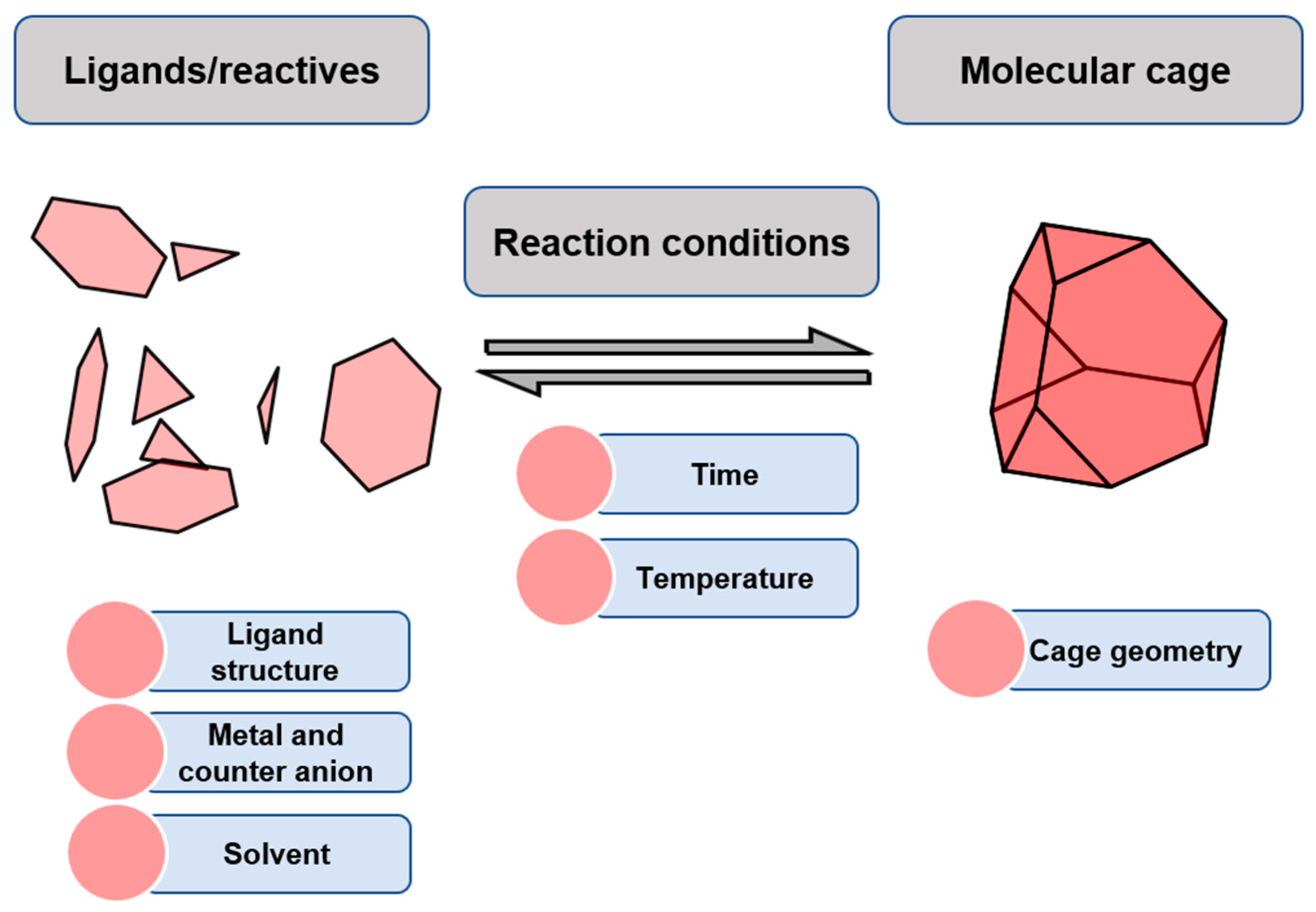 Molecules 29 01621 g001