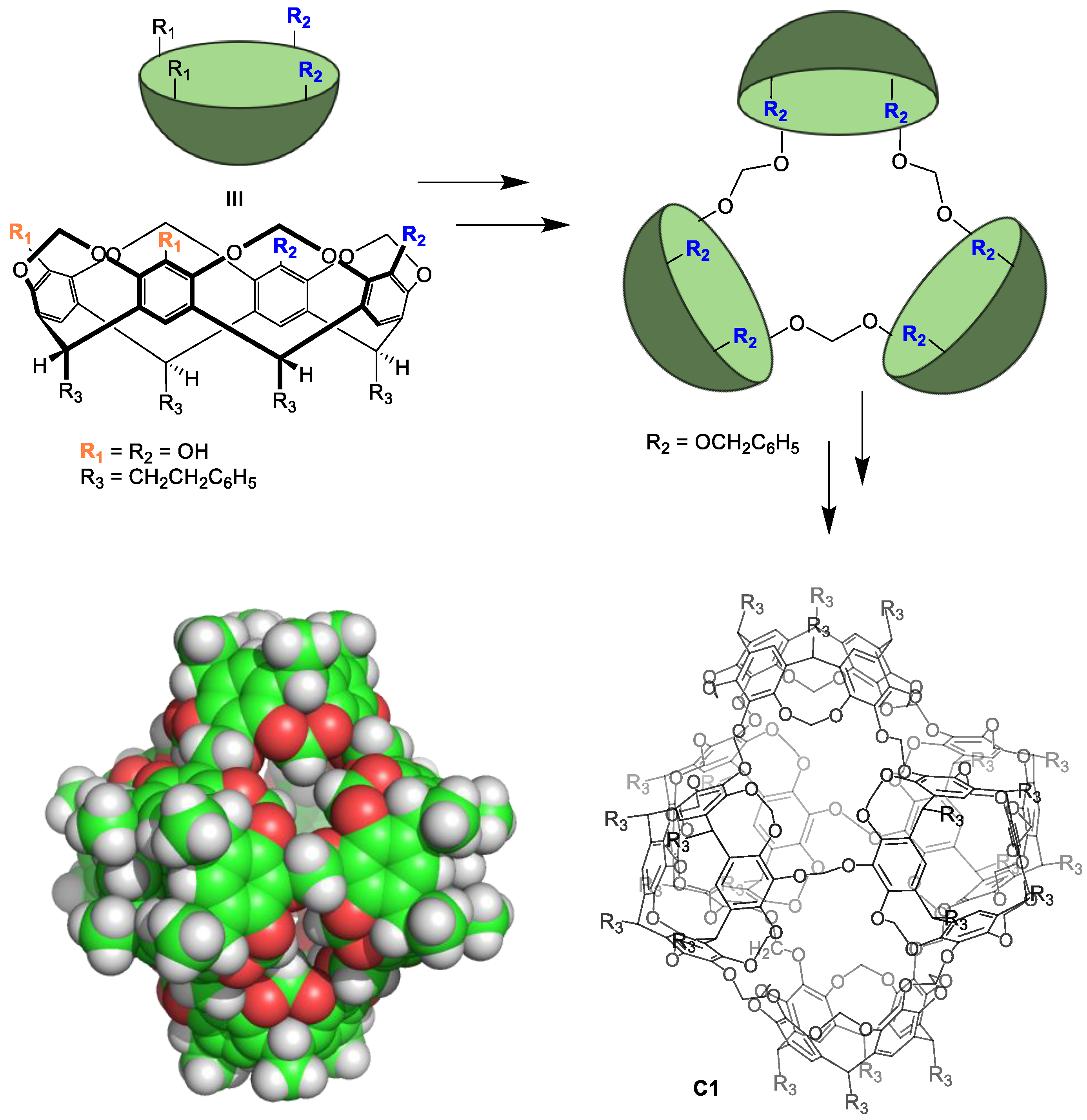 Molecules 29 01621 g002
