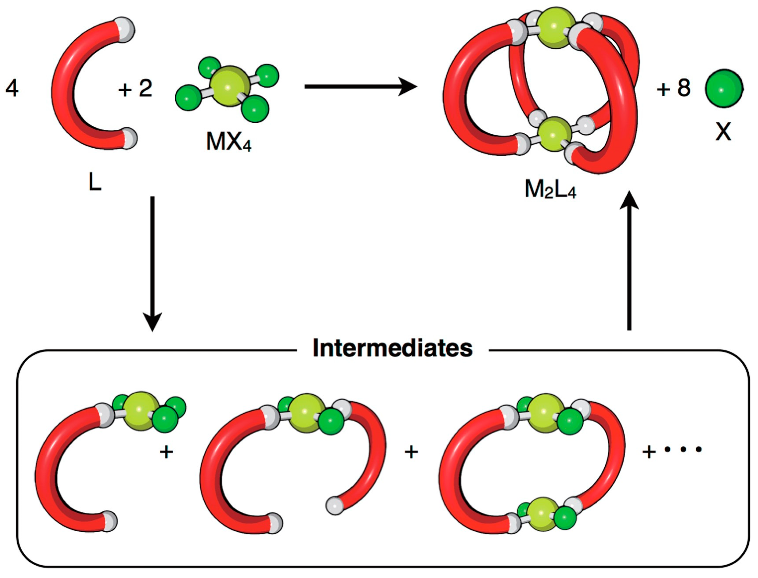 Molecules 29 01621 g003