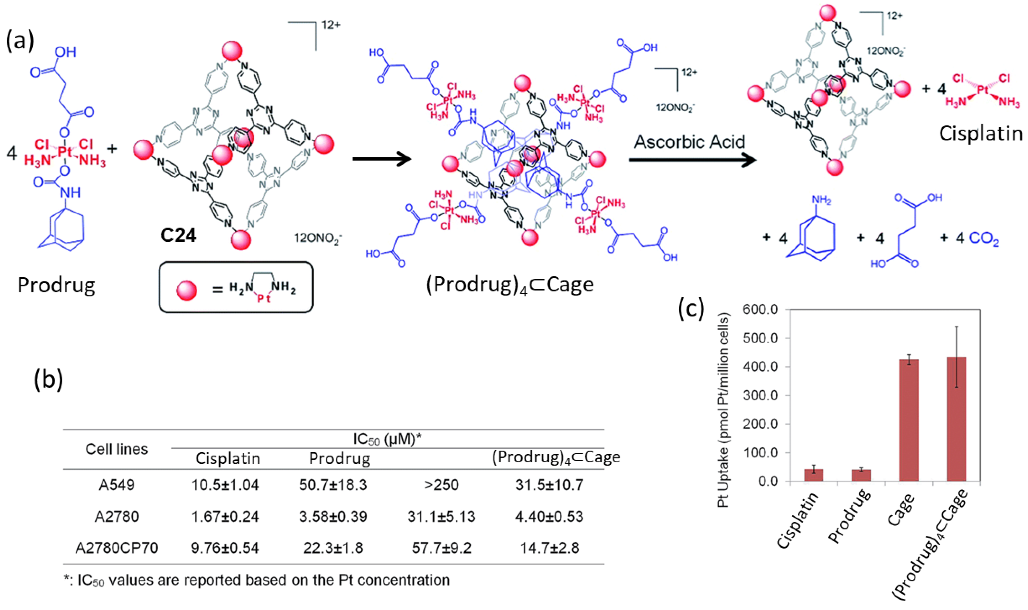 Molecules 29 01621 g011
