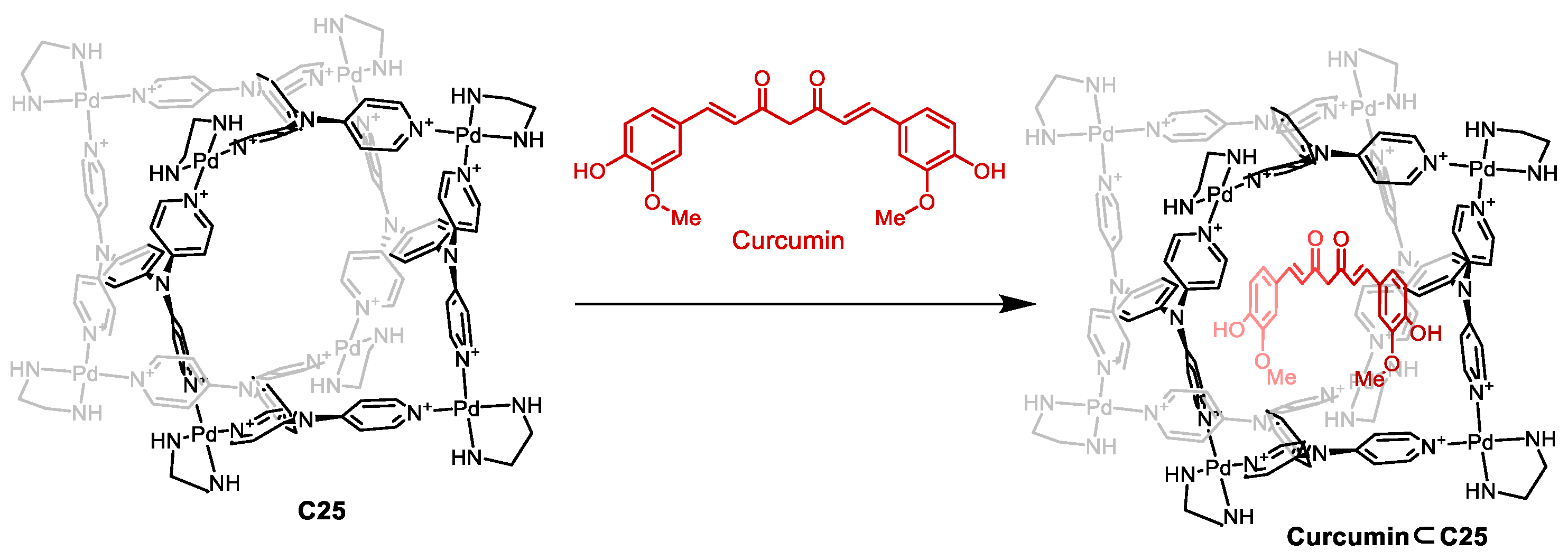 Molecules 29 01621 g012