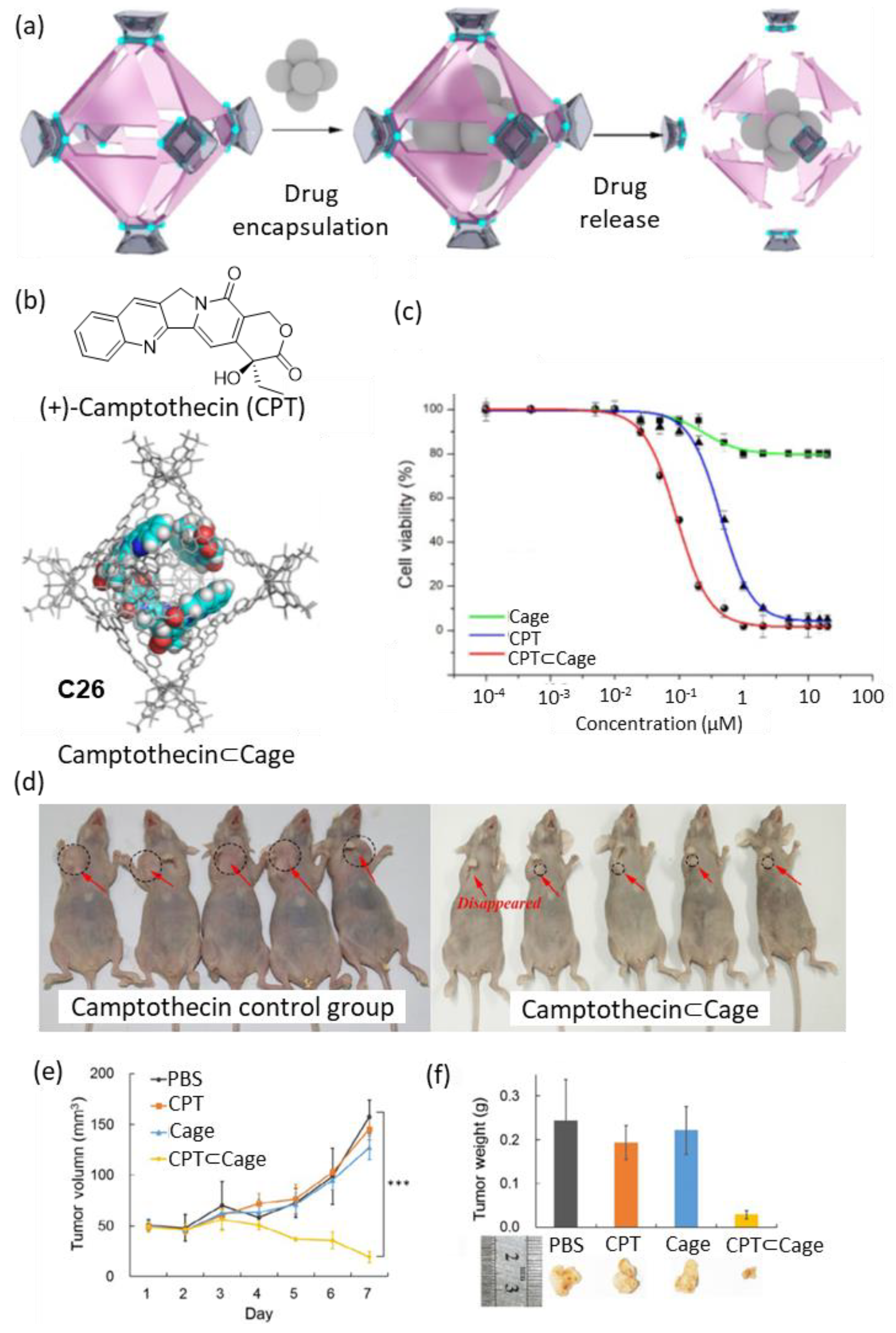 Molecules 29 01621 g013