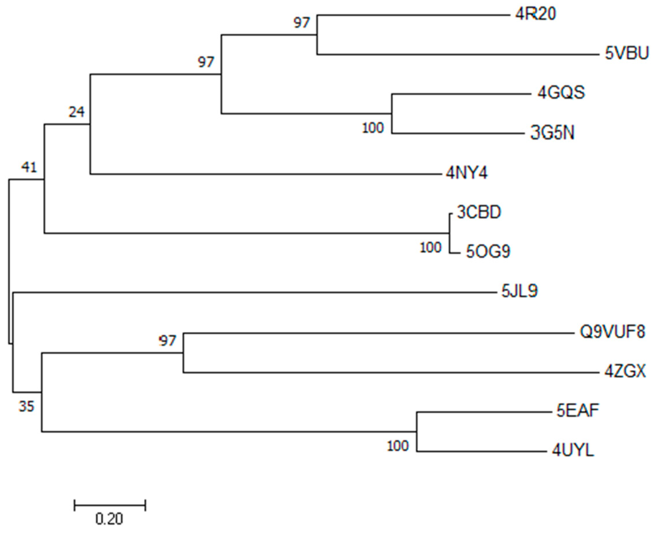 Molecules 29 01628 g003
