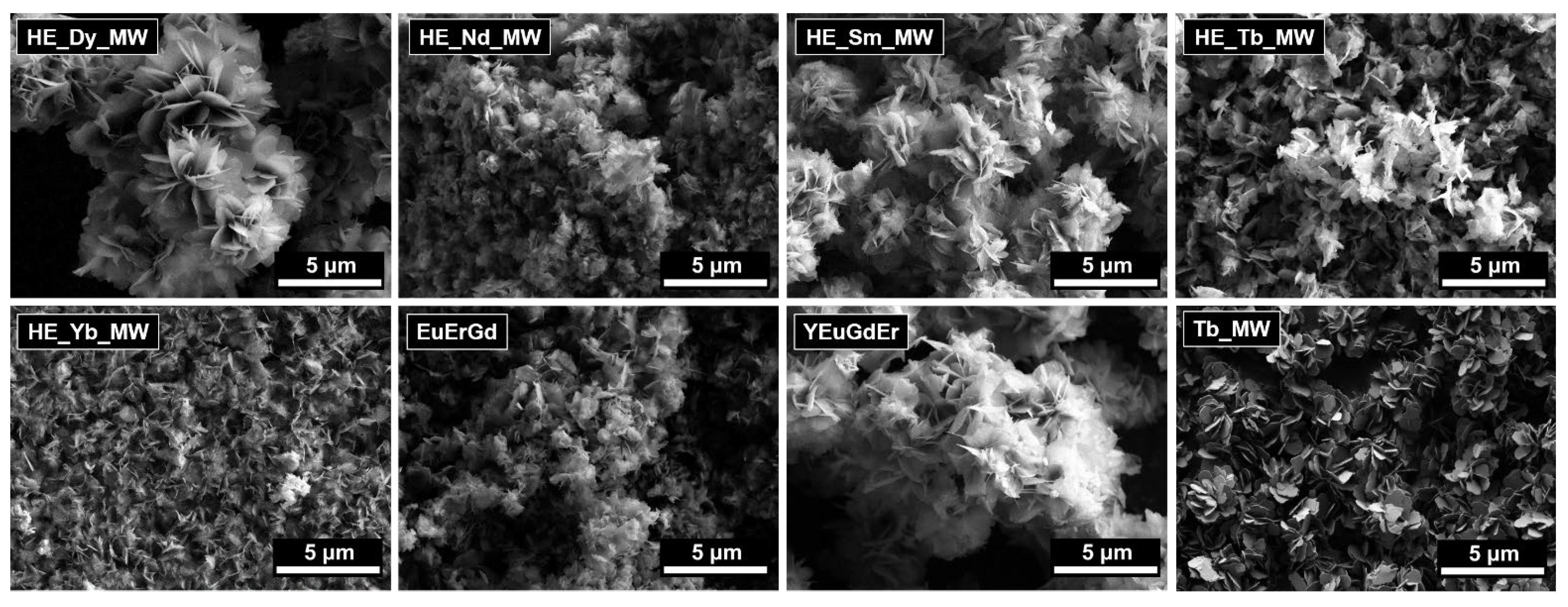Molecules 29 01634 g002