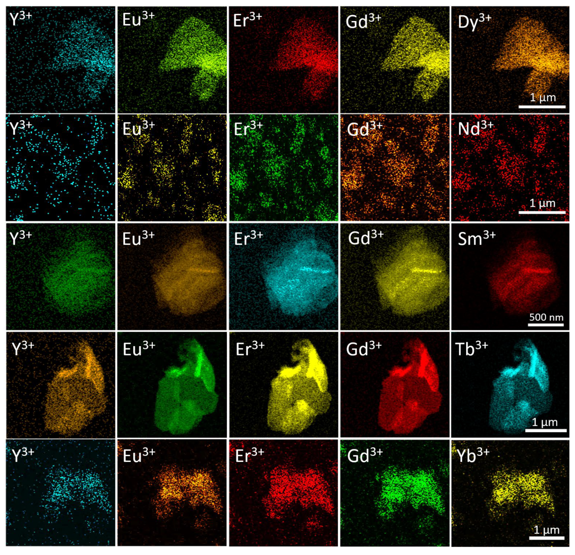 Molecules 29 01634 g004