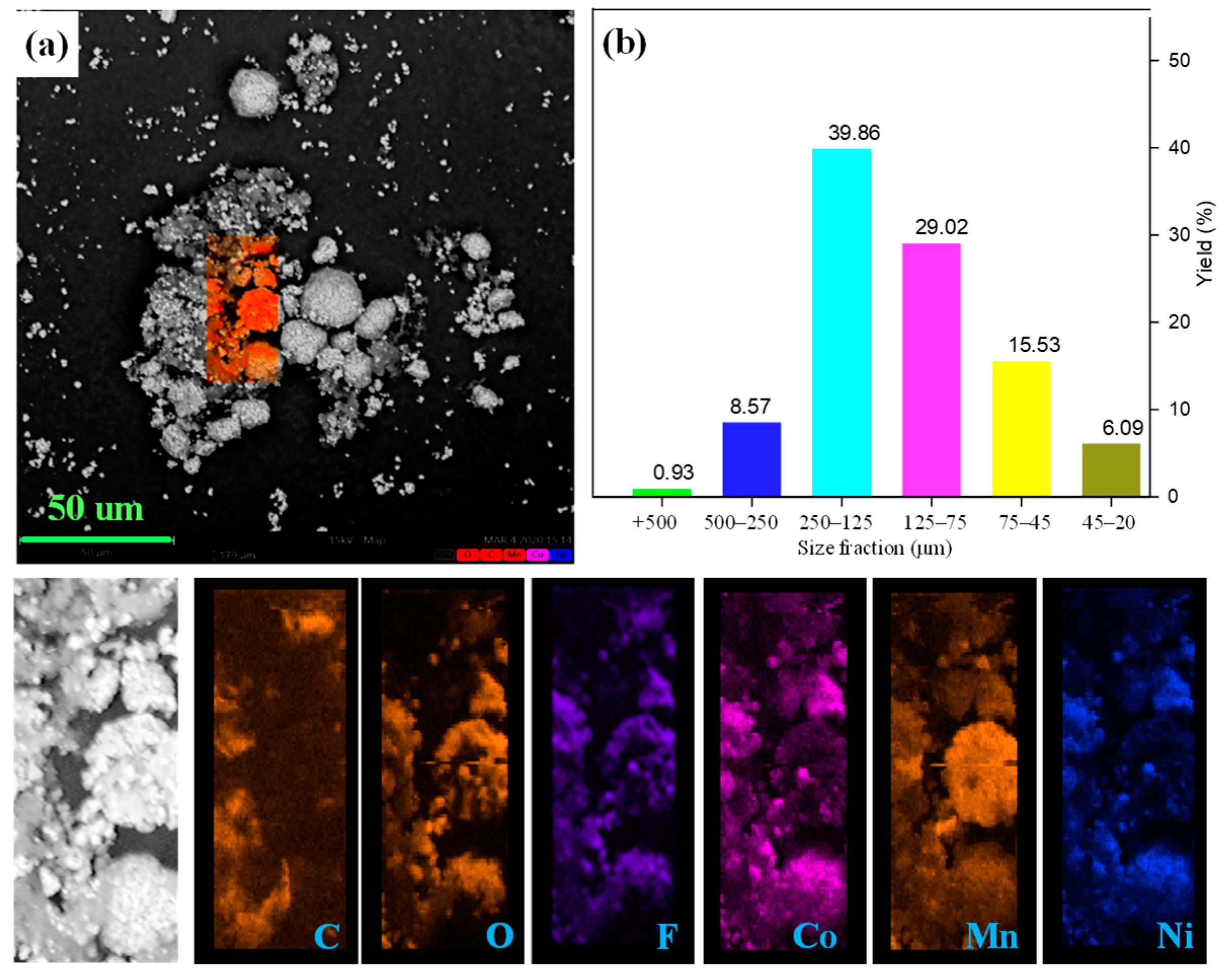 Molecules 29 01638 g002