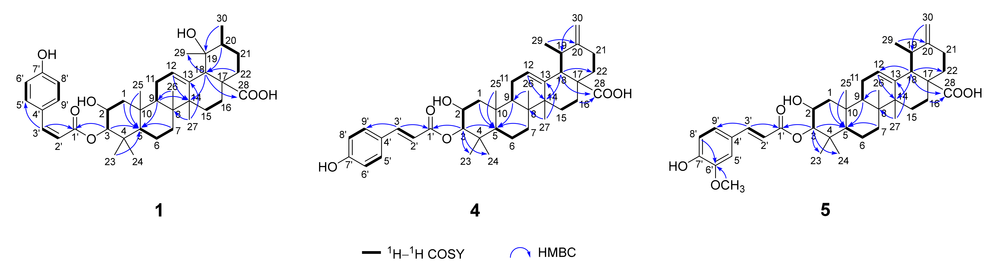 Molecules 29 01640 g002
