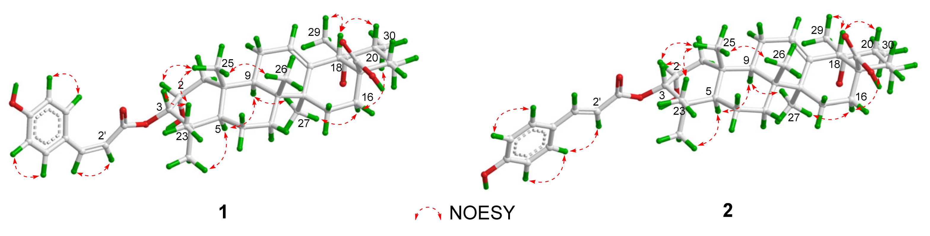 Molecules 29 01640 g003
