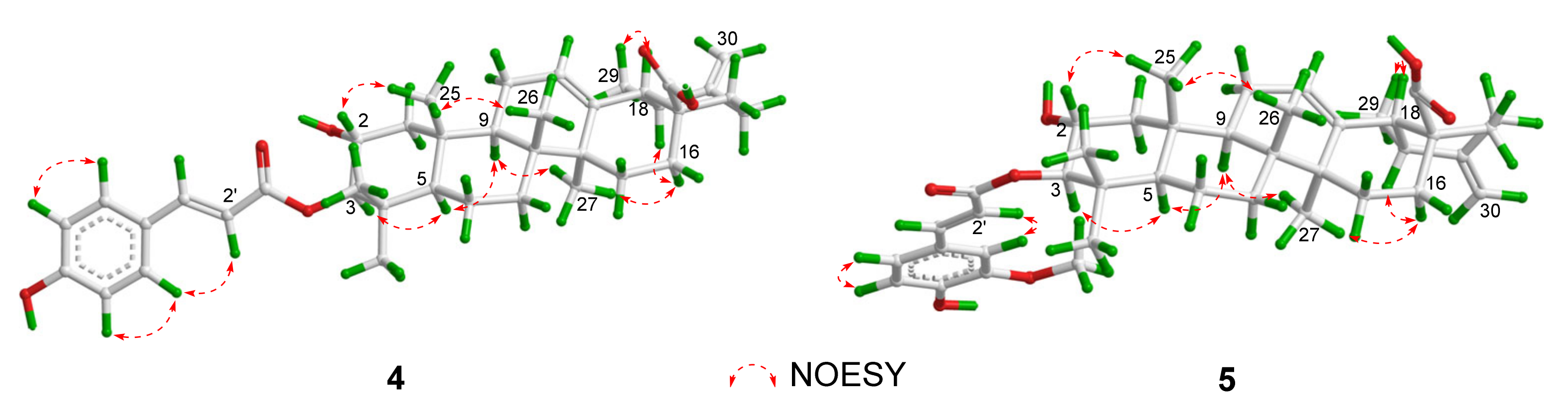 Molecules 29 01640 g004