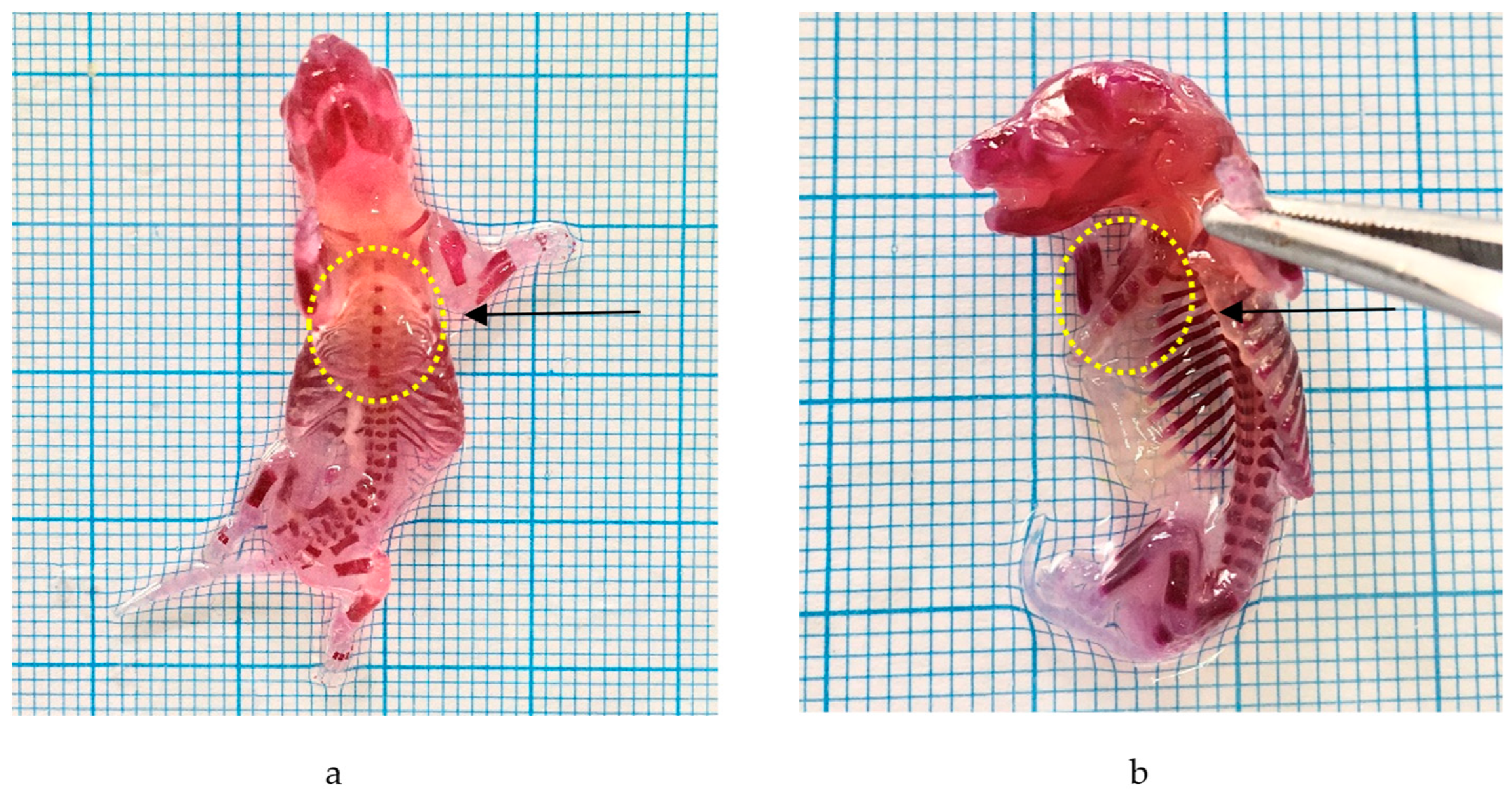 Molecules 29 01642 g004