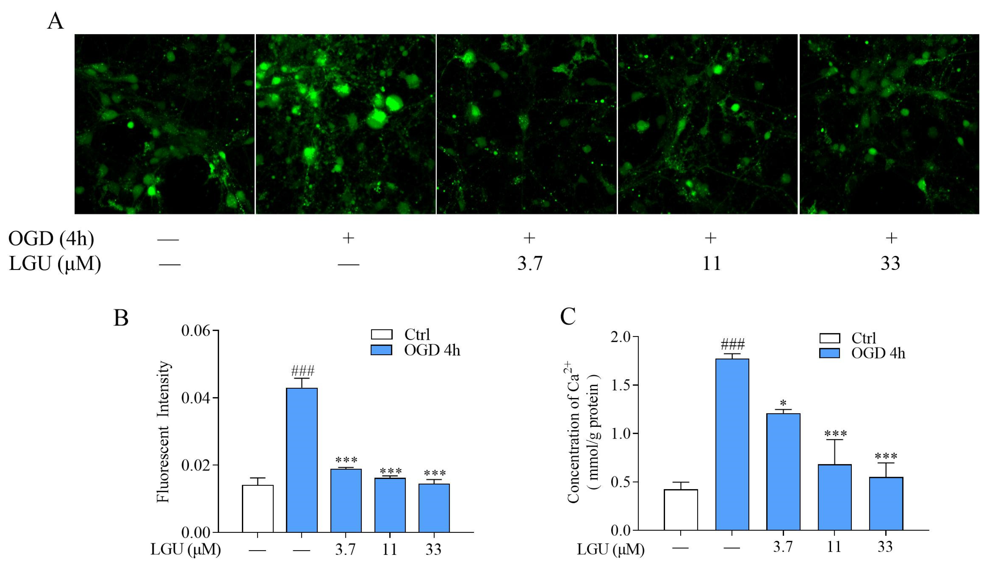 Molecules 29 01665 g005