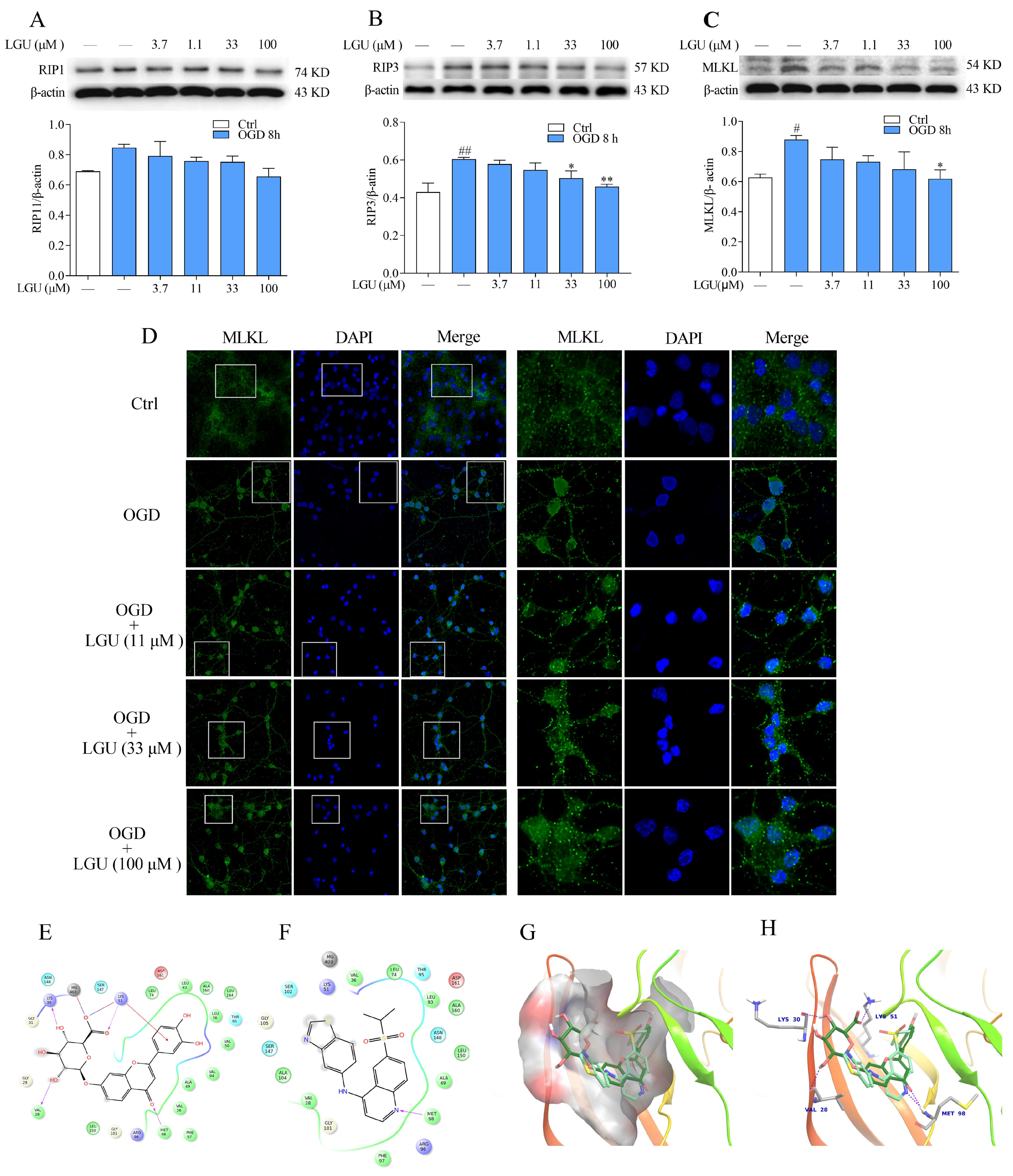 Molecules 29 01665 g008