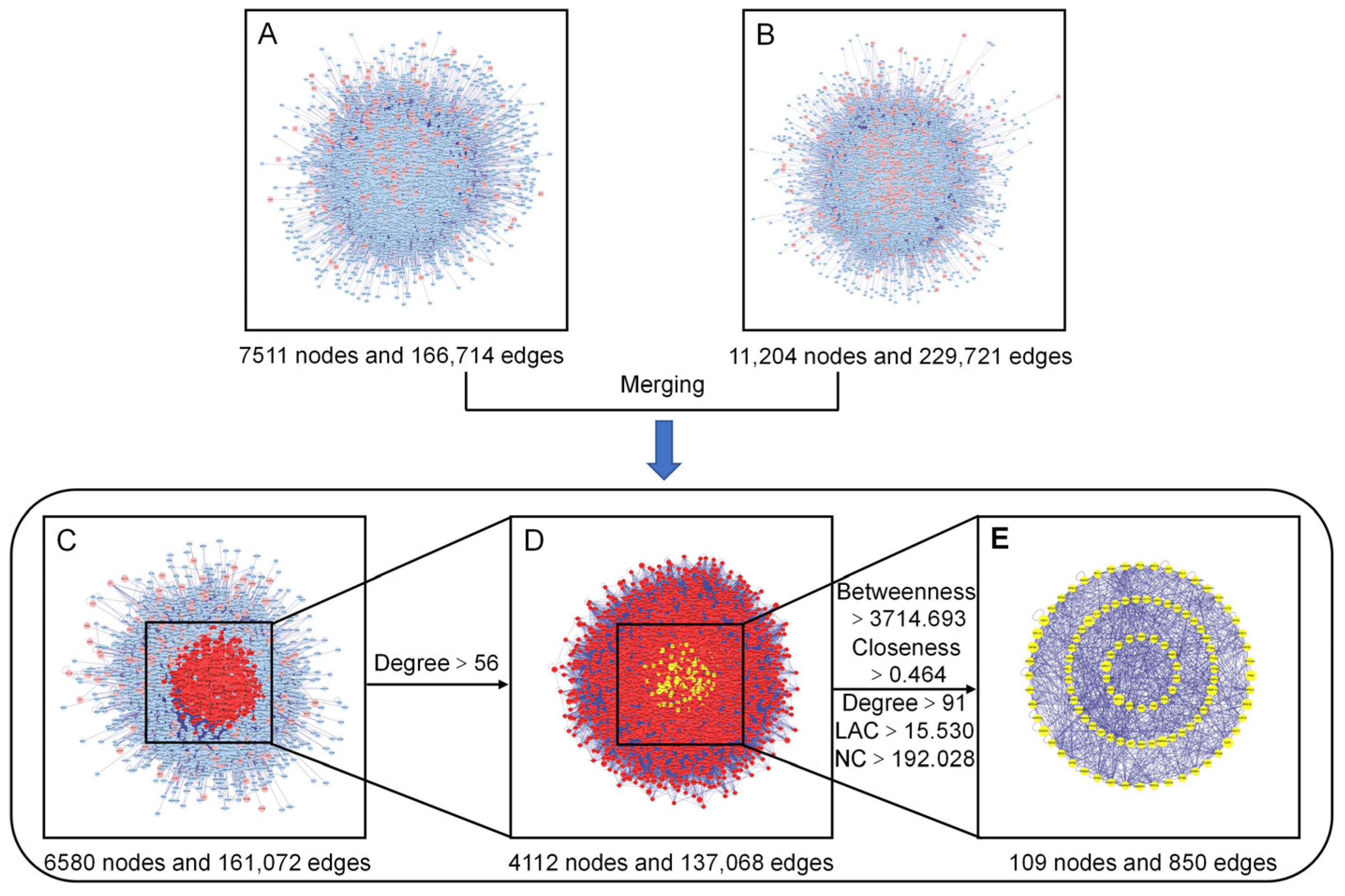 Molecules 29 01668 g004