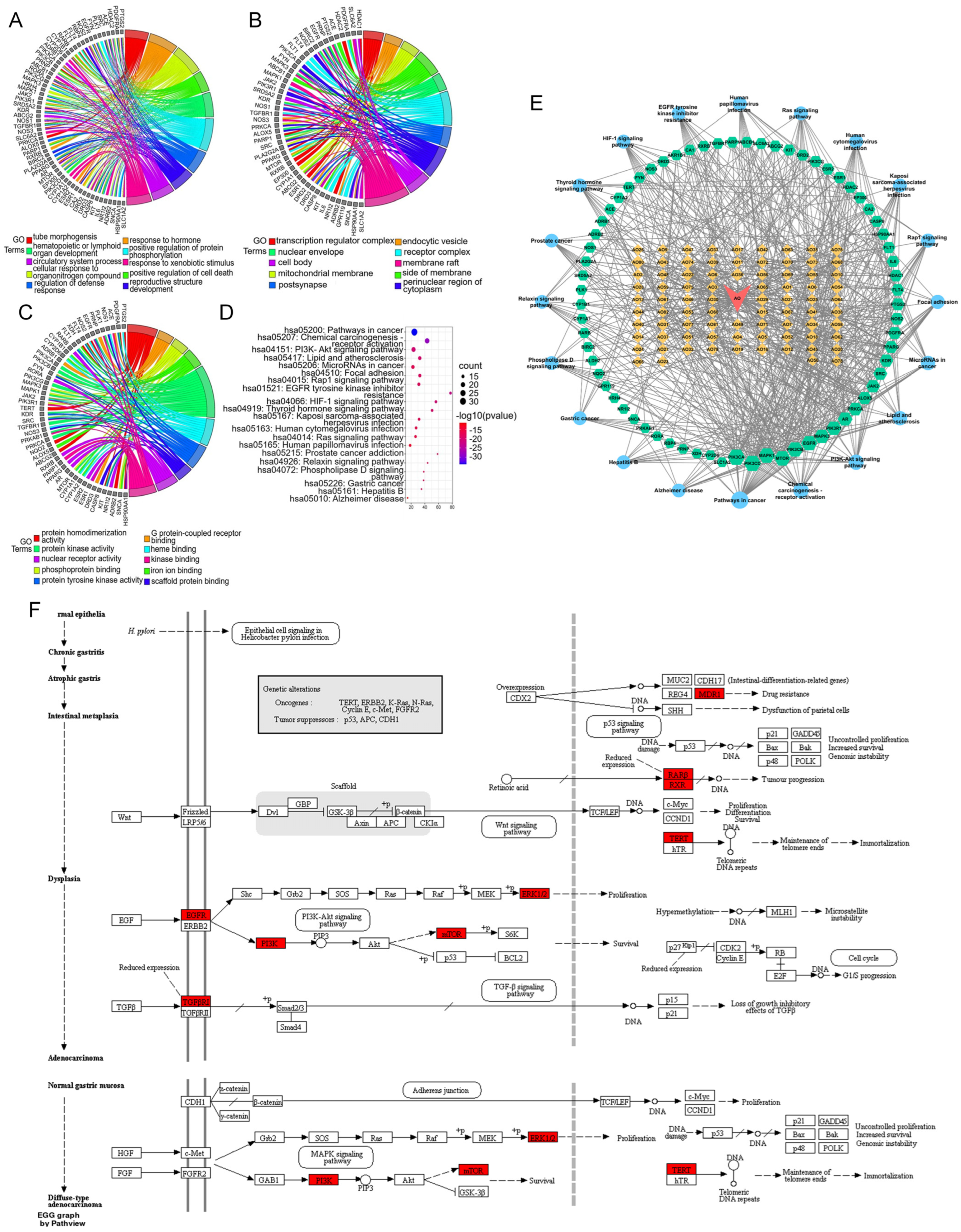 Molecules 29 01668 g006