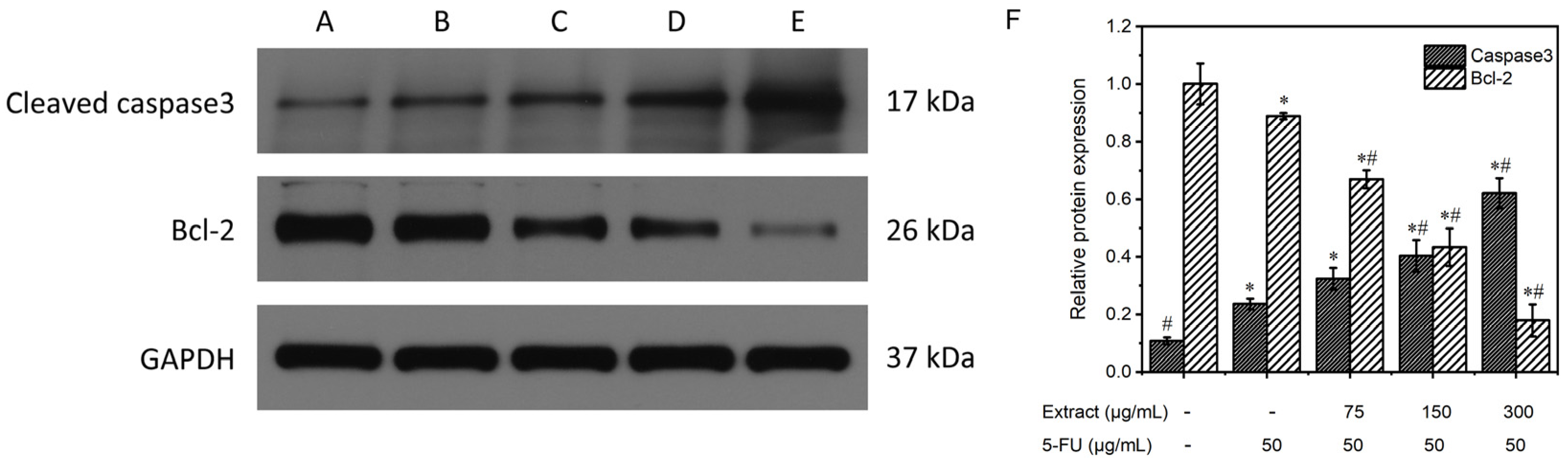 Molecules 29 01668 g010