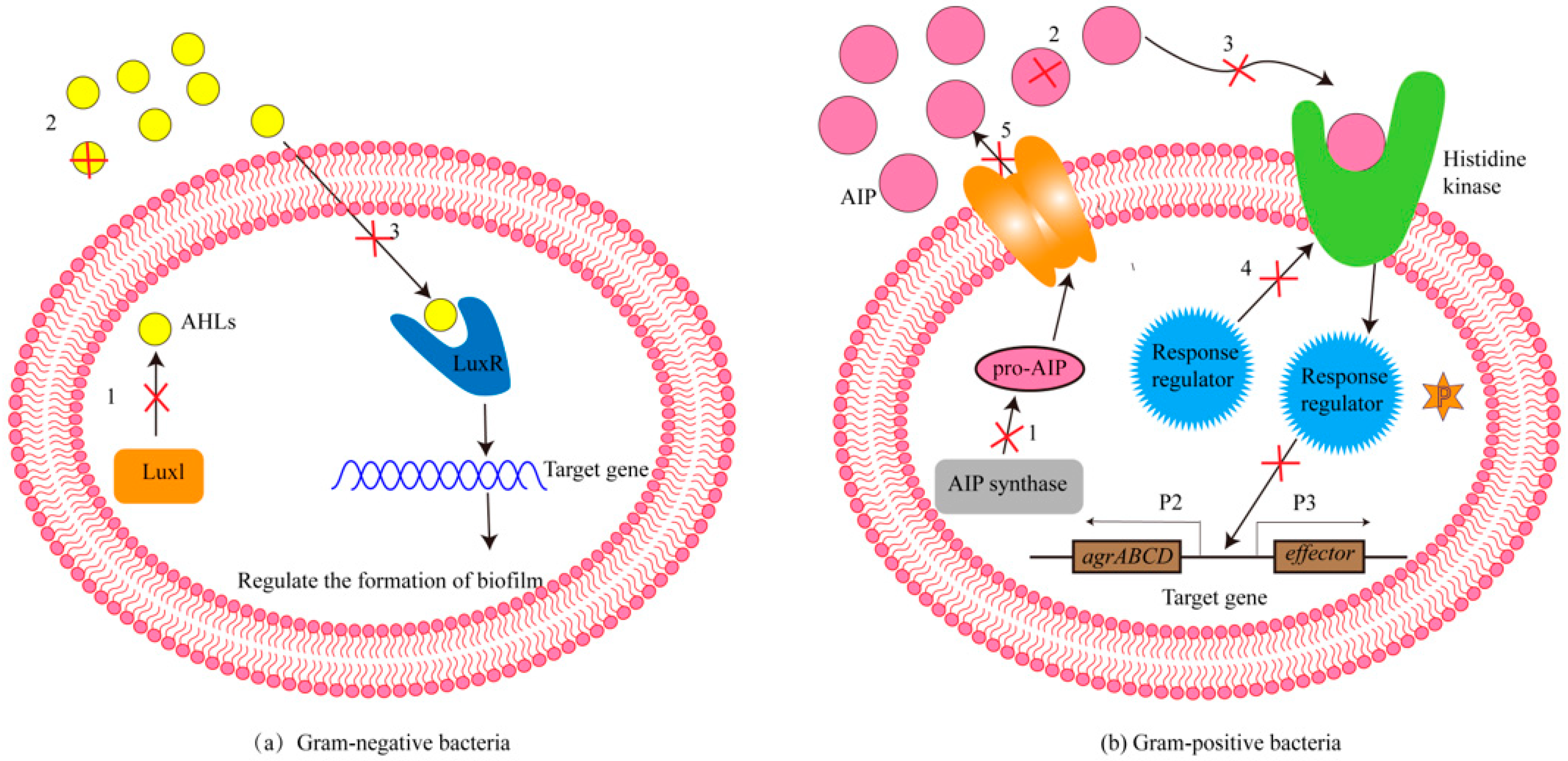 Molecules 29 01674 g002