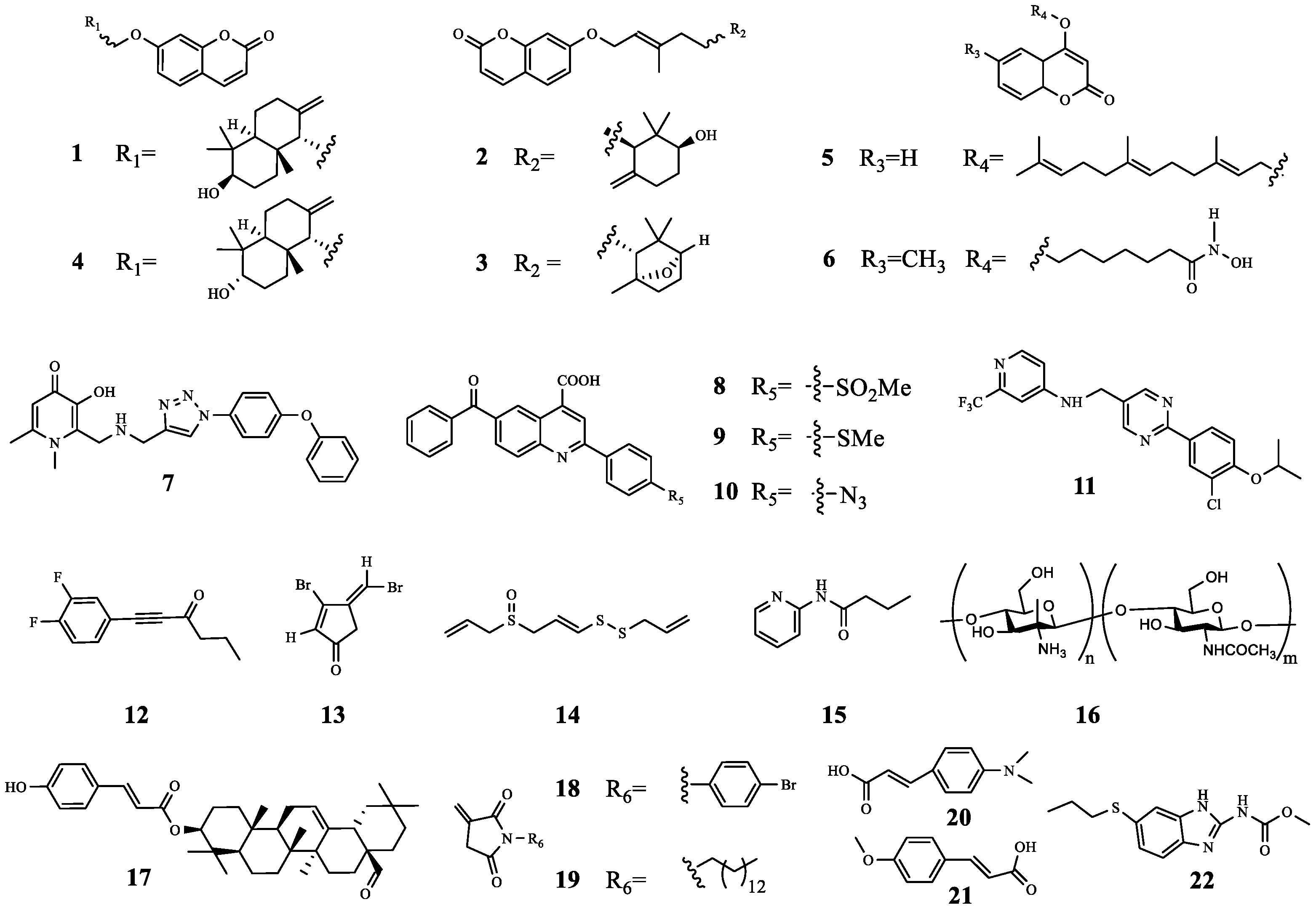 Molecules 29 01674 g004