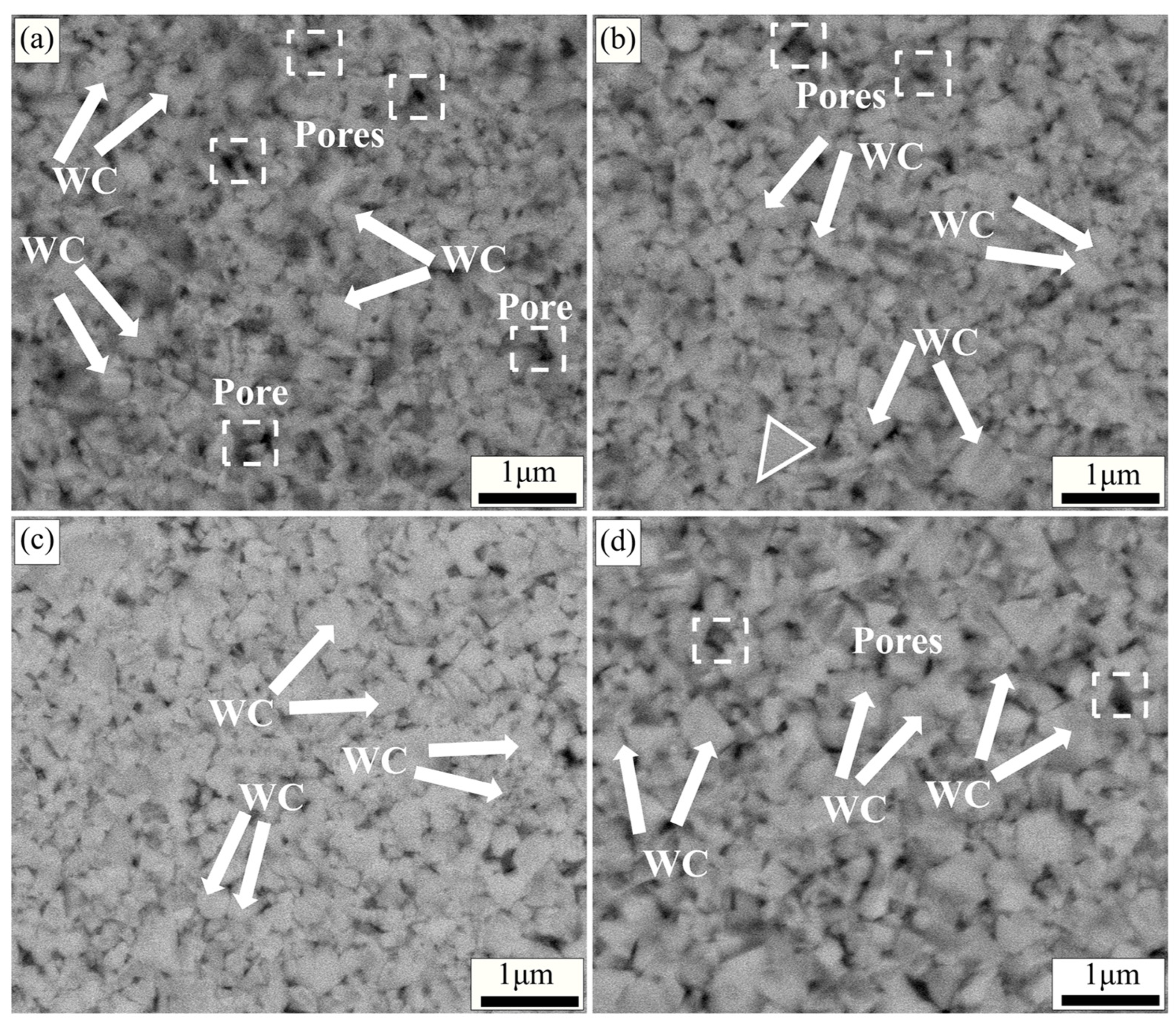 Molecules 29 01678 g006