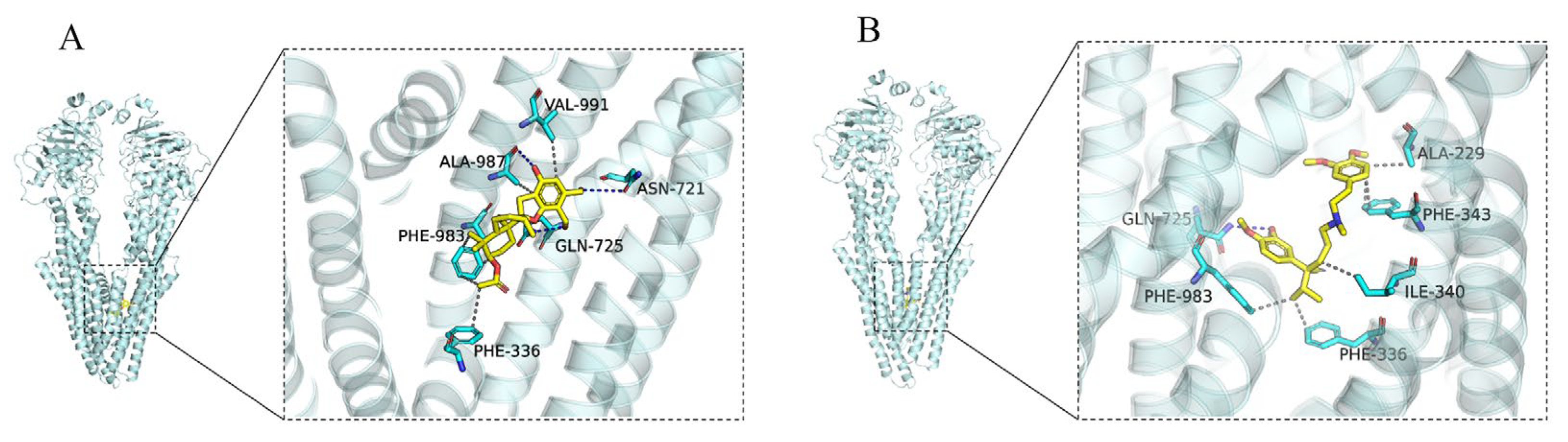 Molecules 29 01685 g007