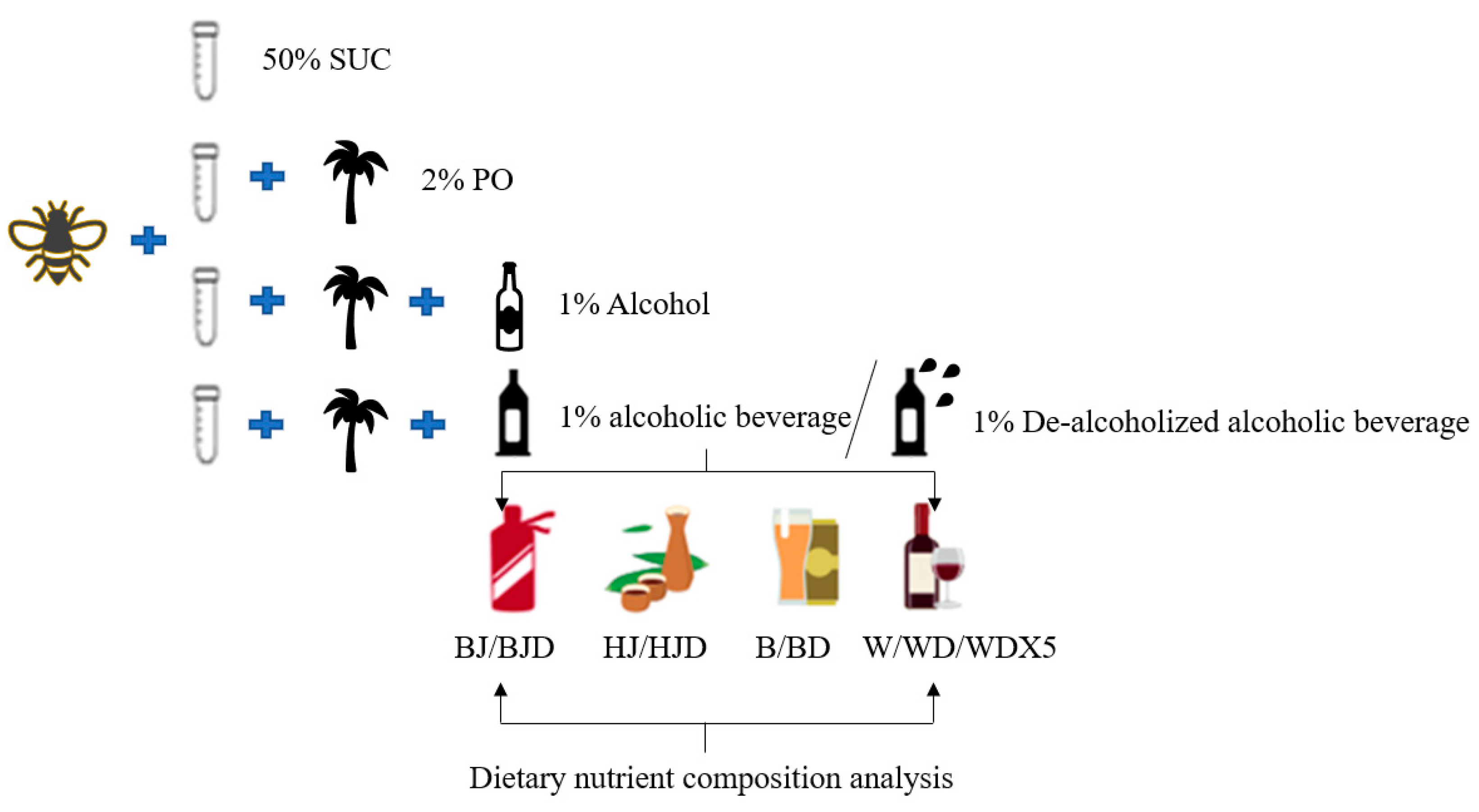 Molecules 29 01693 g005