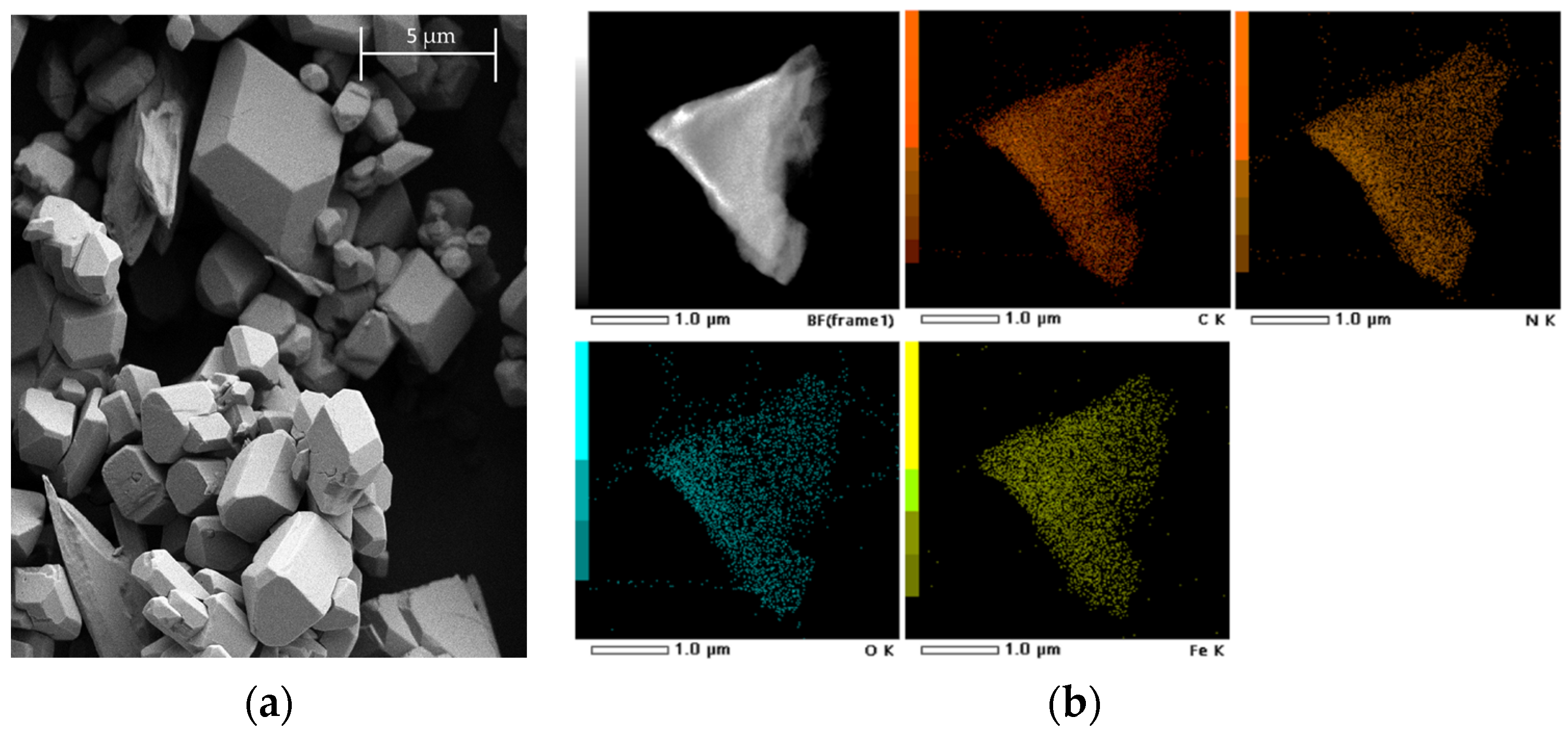 Molecules 29 01698 g001
