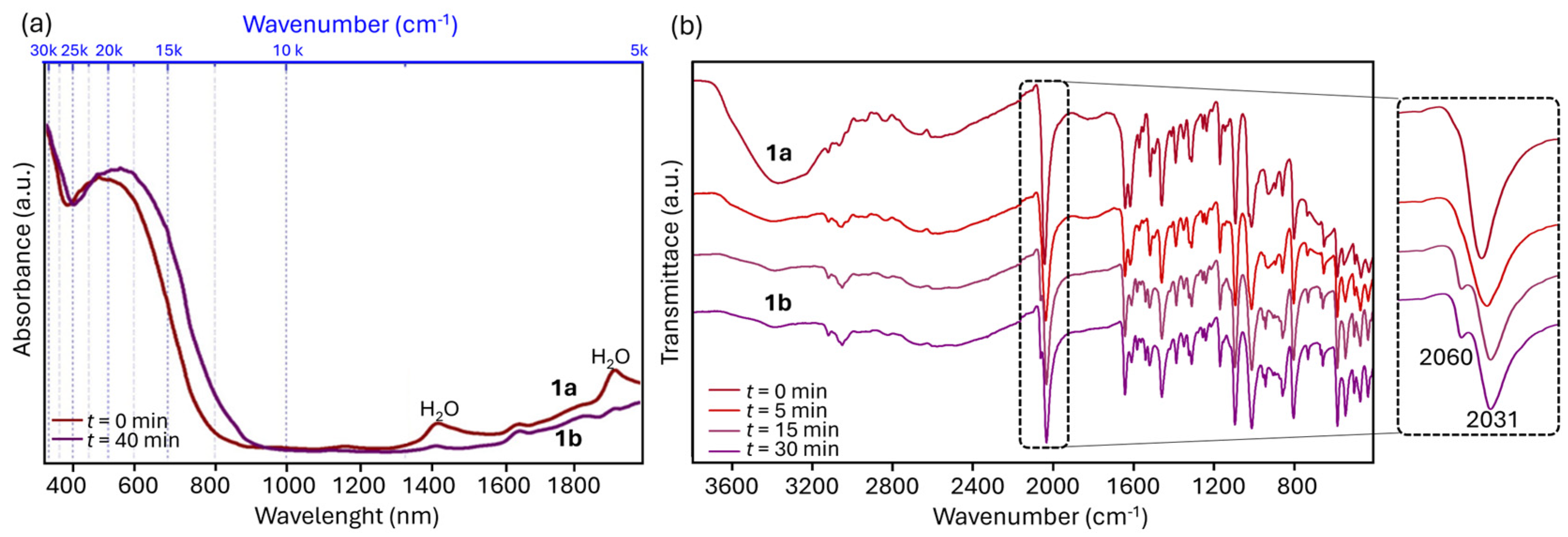 Molecules 29 01698 g004
