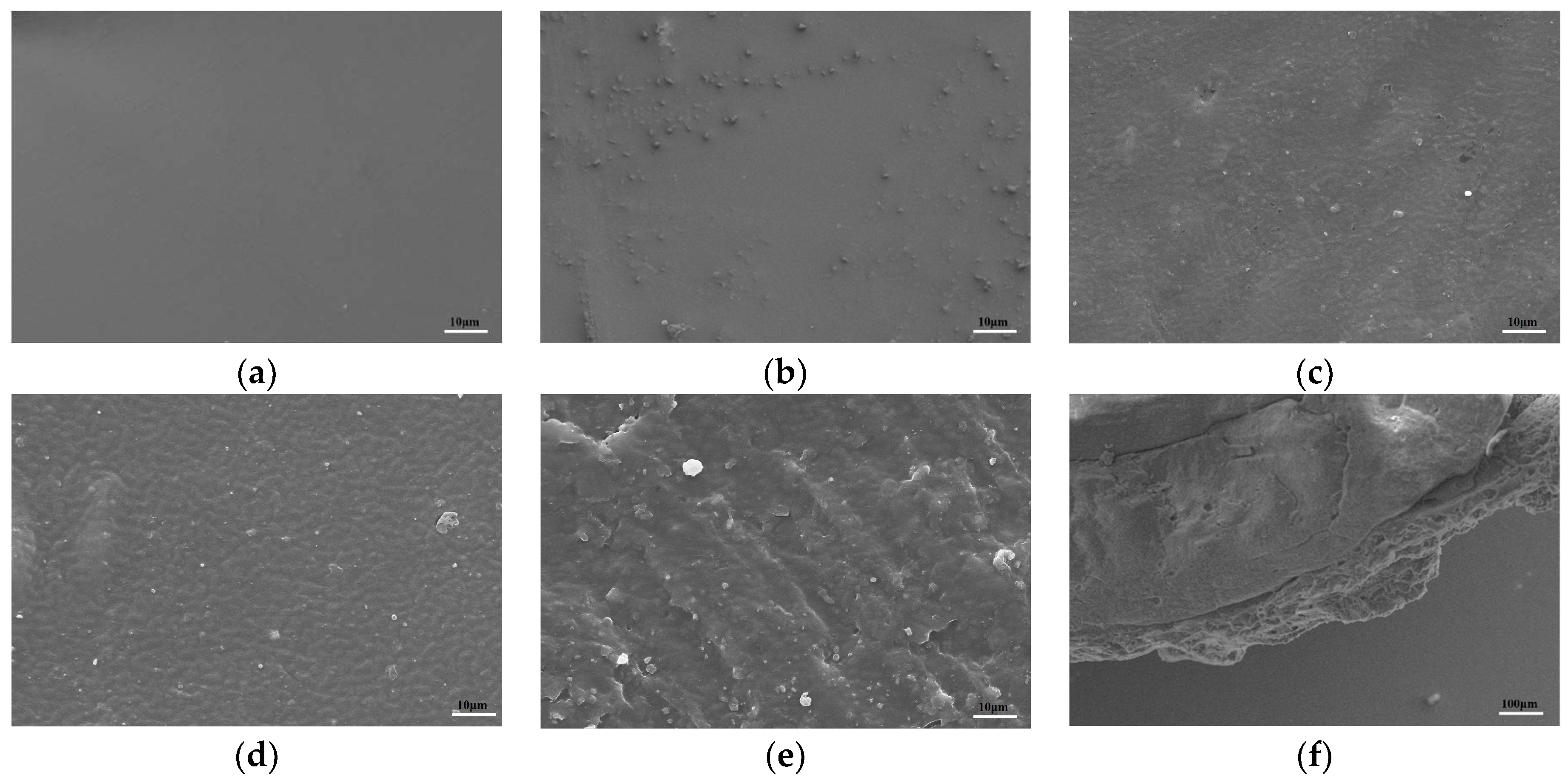 Molecules 29 01699 g003