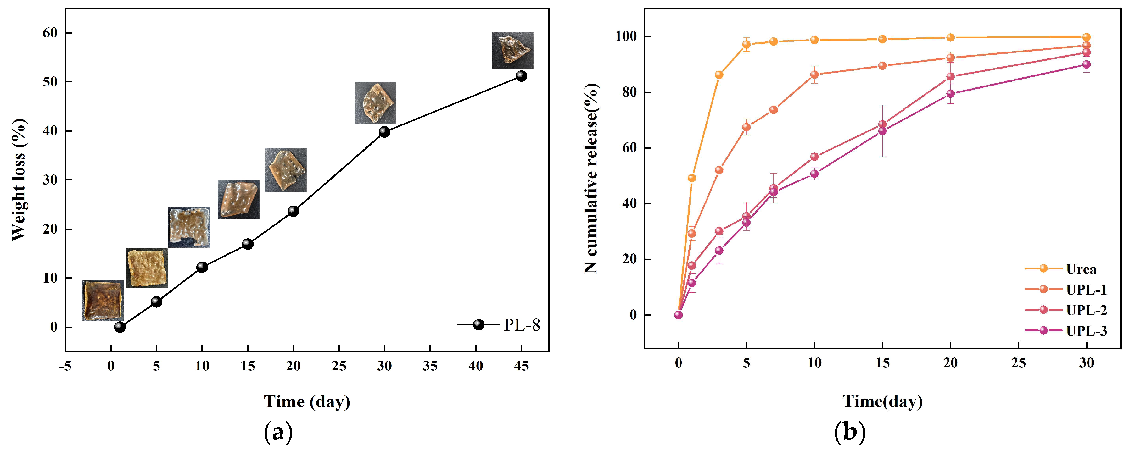 Molecules 29 01699 g004