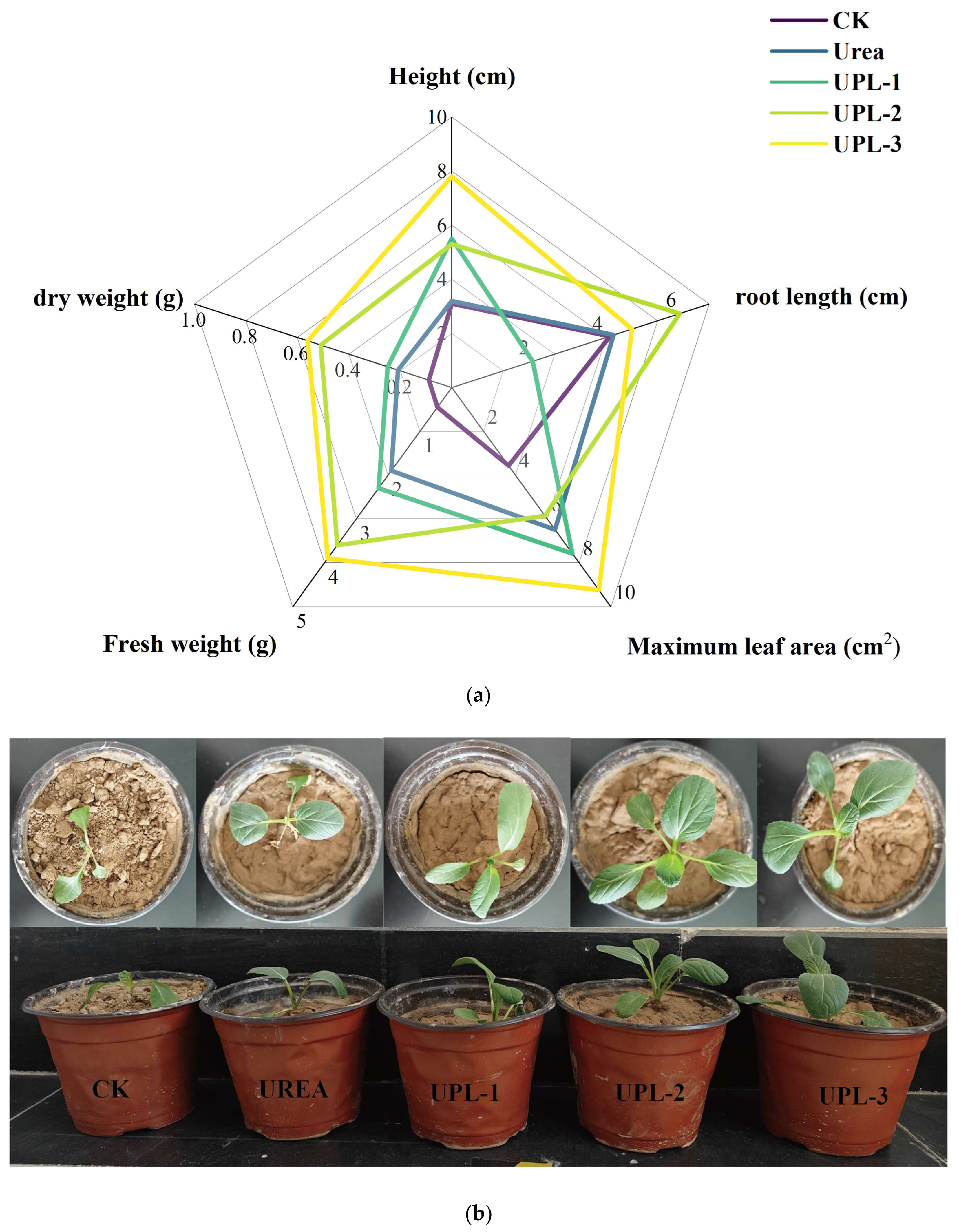 Molecules 29 01699 g007