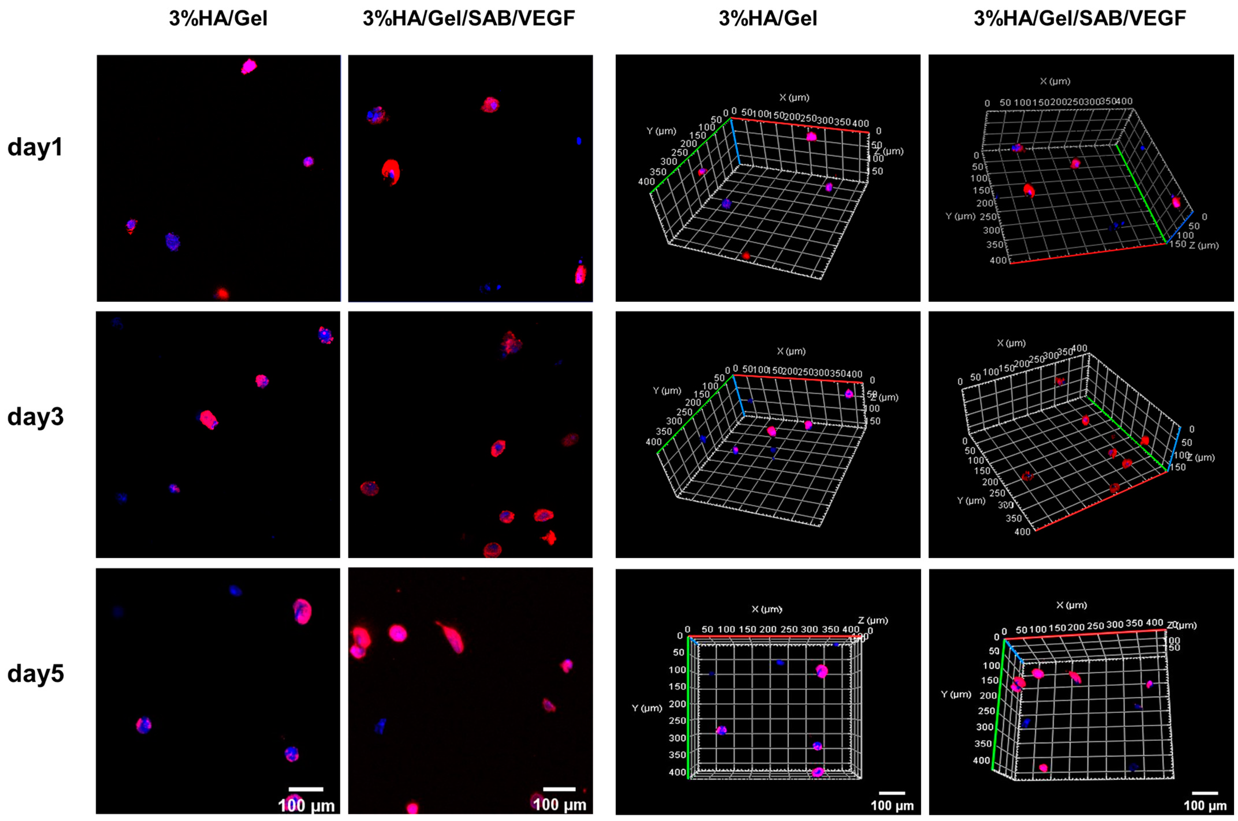 Molecules 29 01705 g003