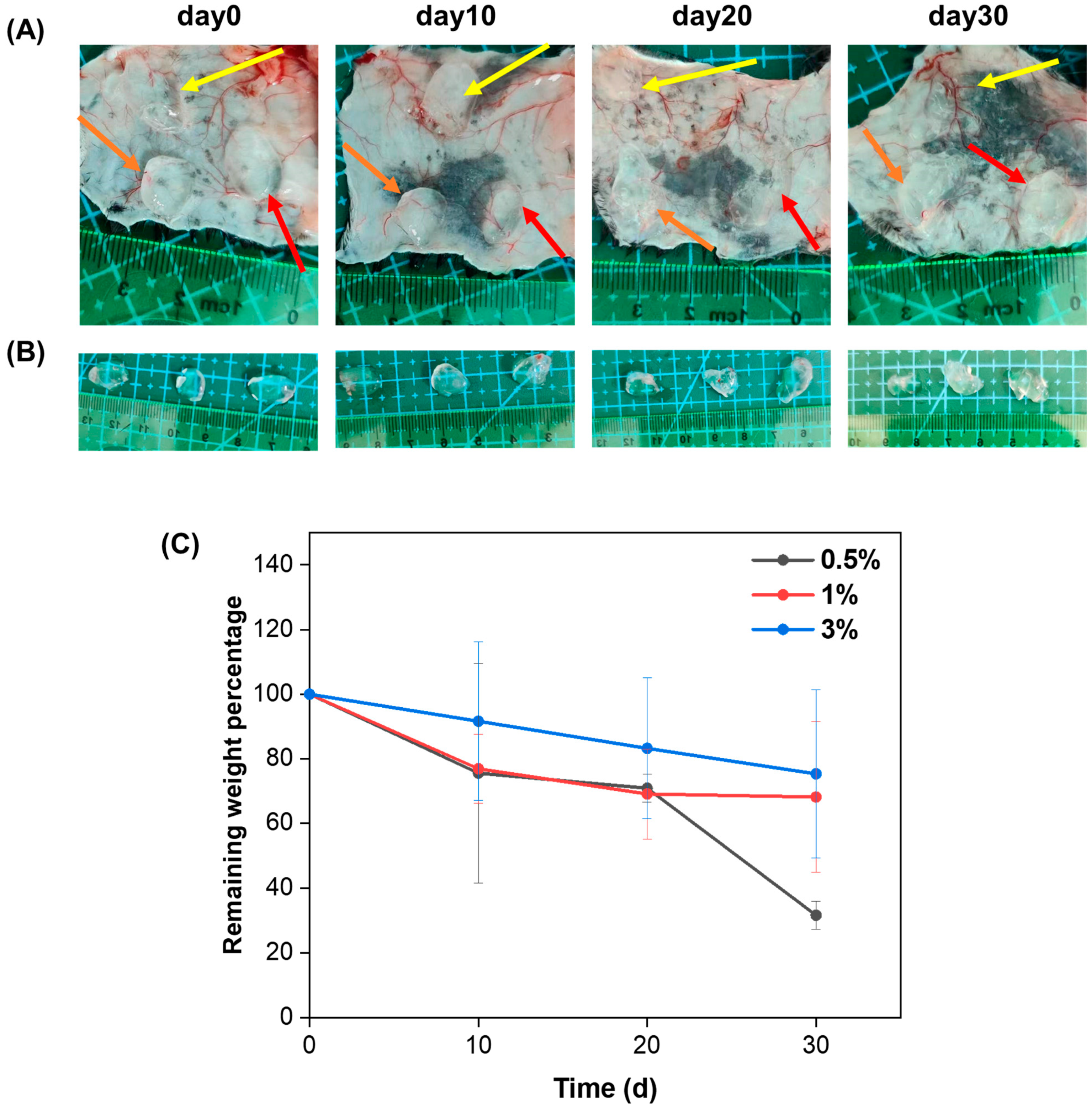 Molecules 29 01705 g004