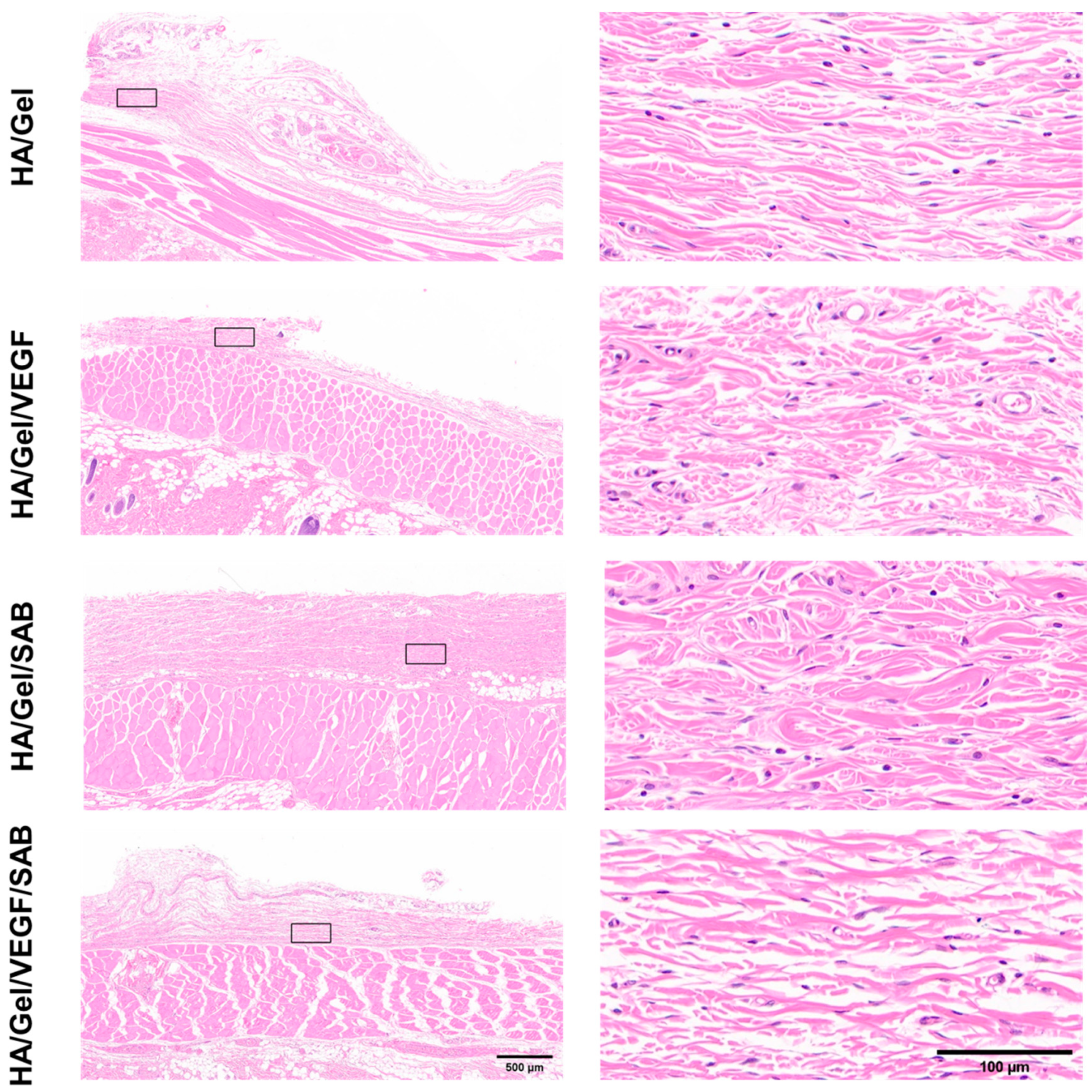 Molecules 29 01705 g005