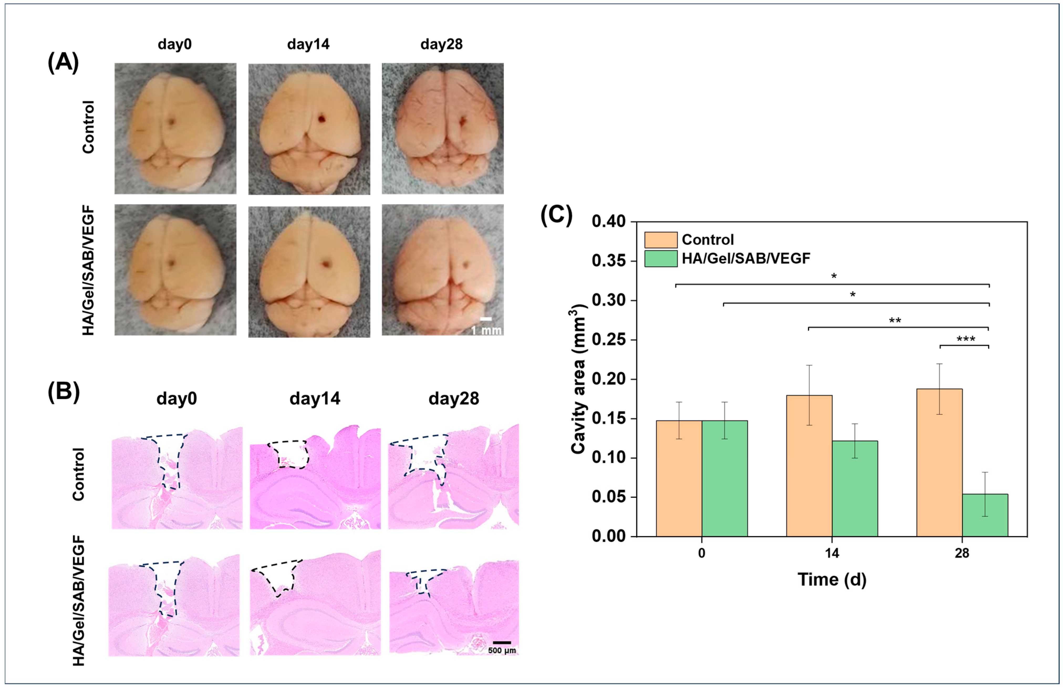 Molecules 29 01705 g007