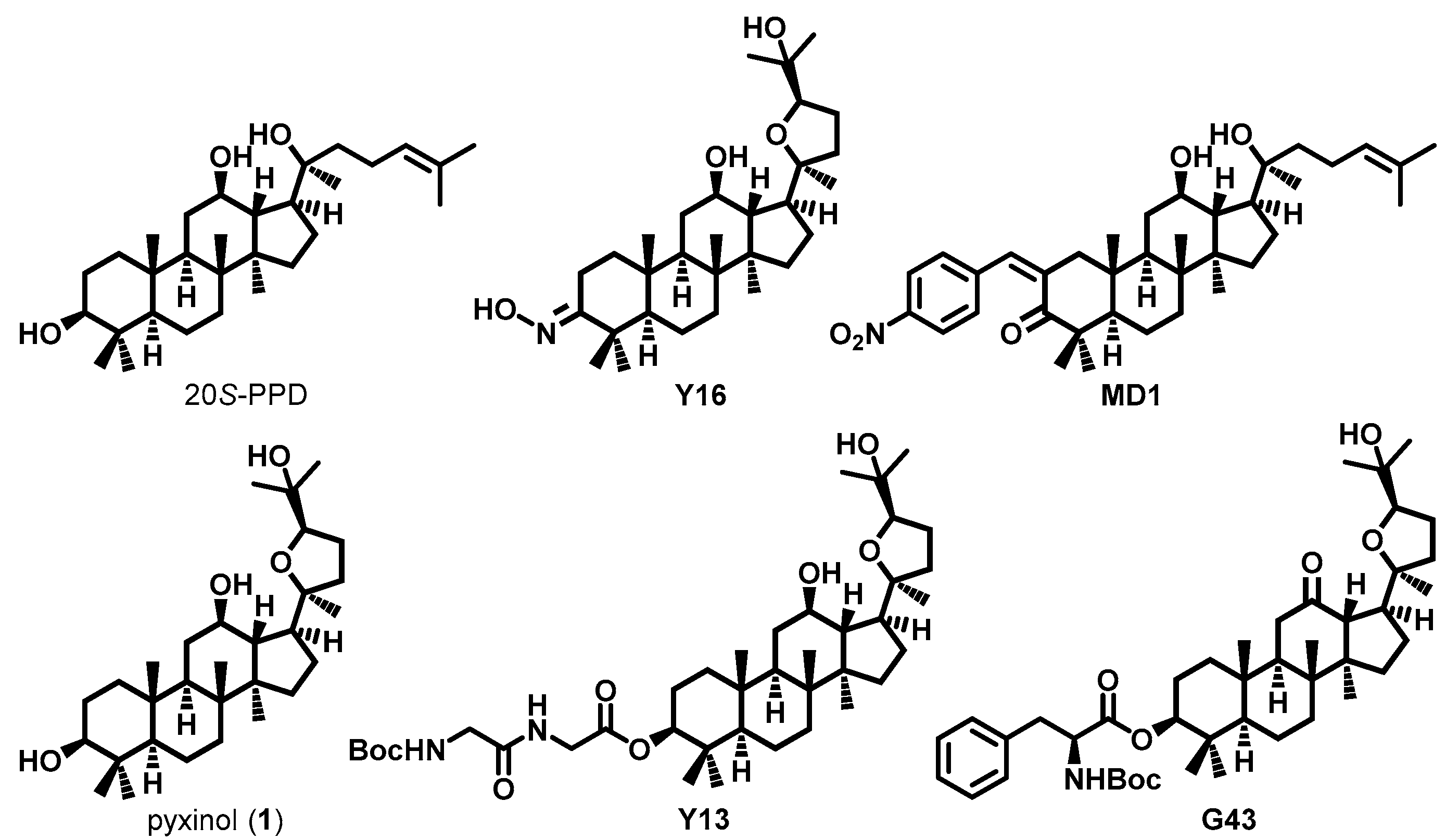 Molecules 29 01711 g001