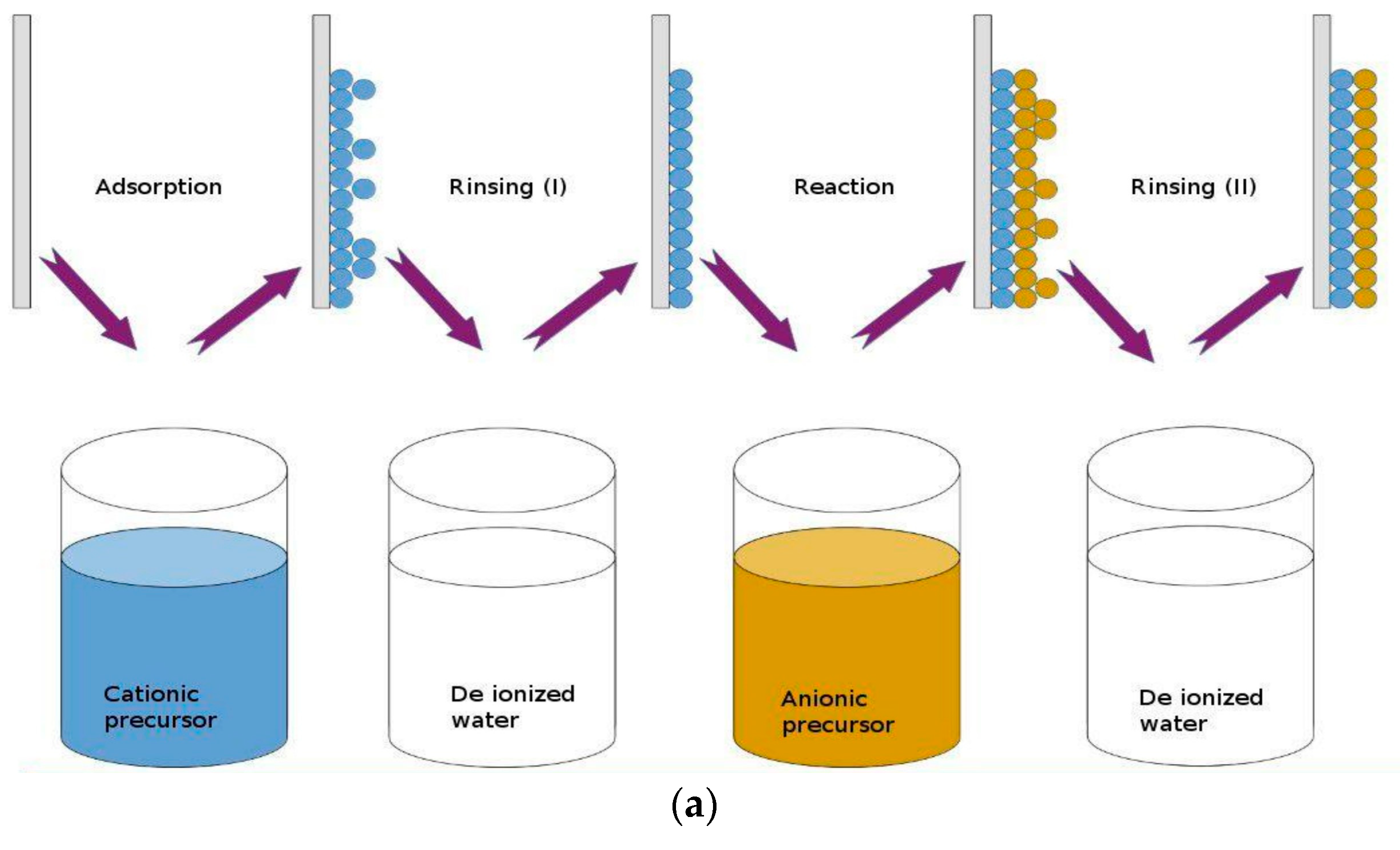 Molecules 29 01723 g007a
