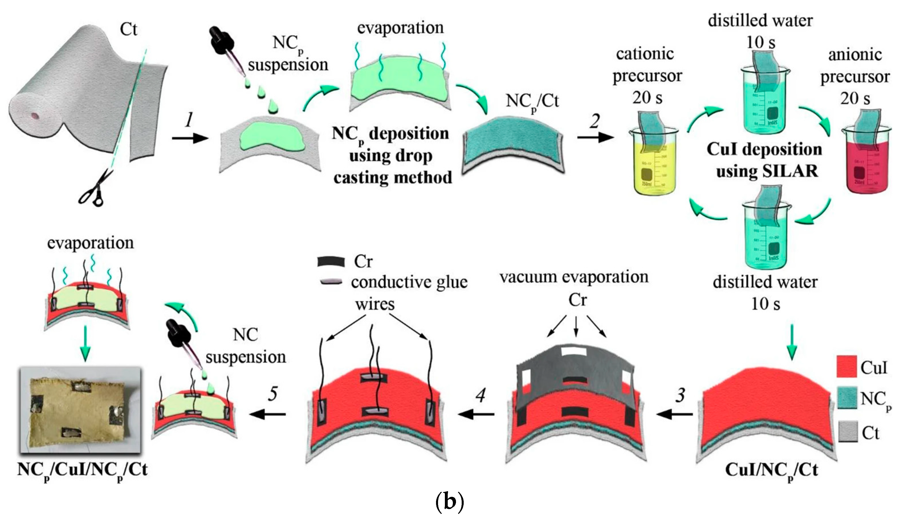 Molecules 29 01723 g007b