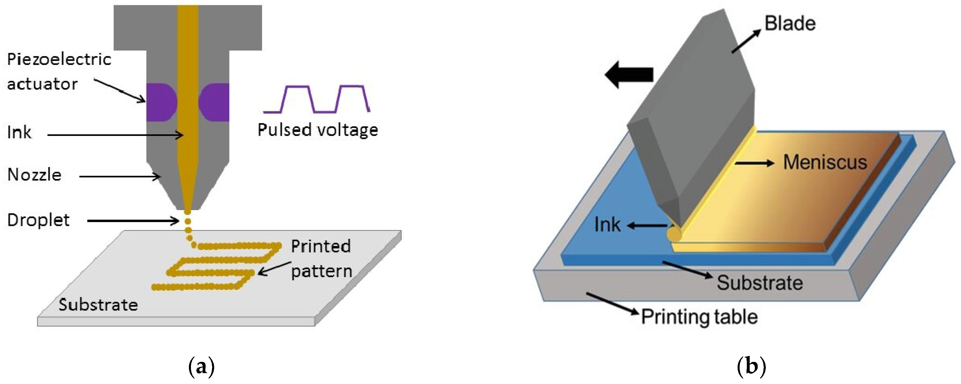 Molecules 29 01723 g009a
