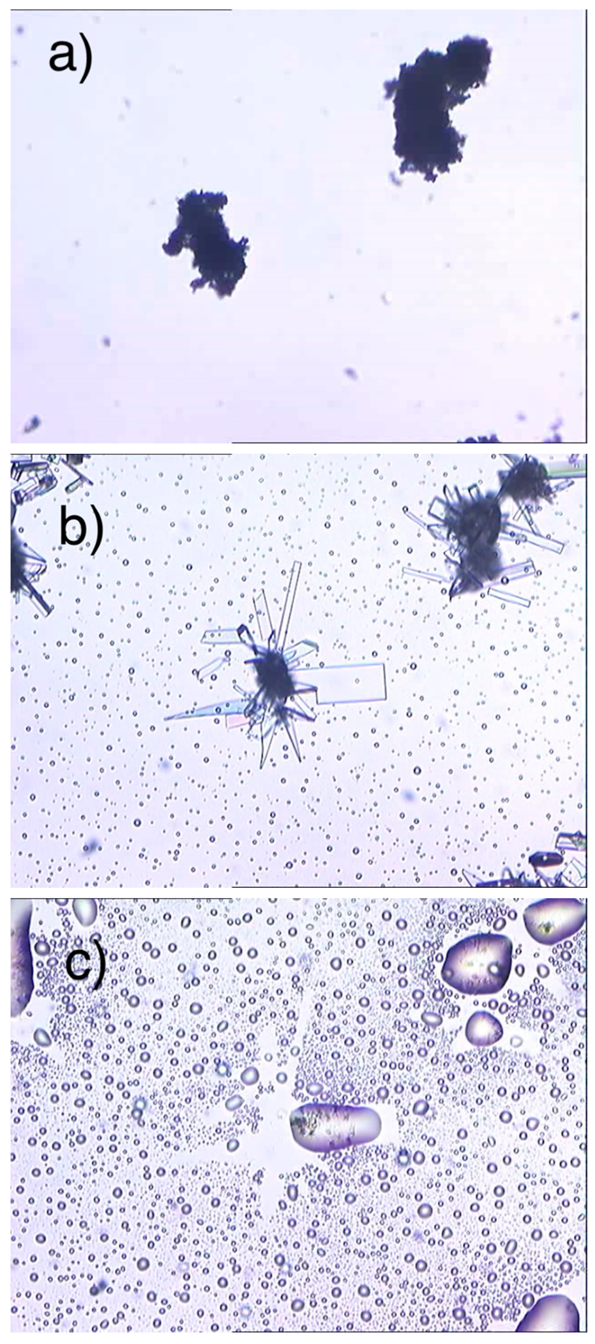 Molecules 29 01724 g013