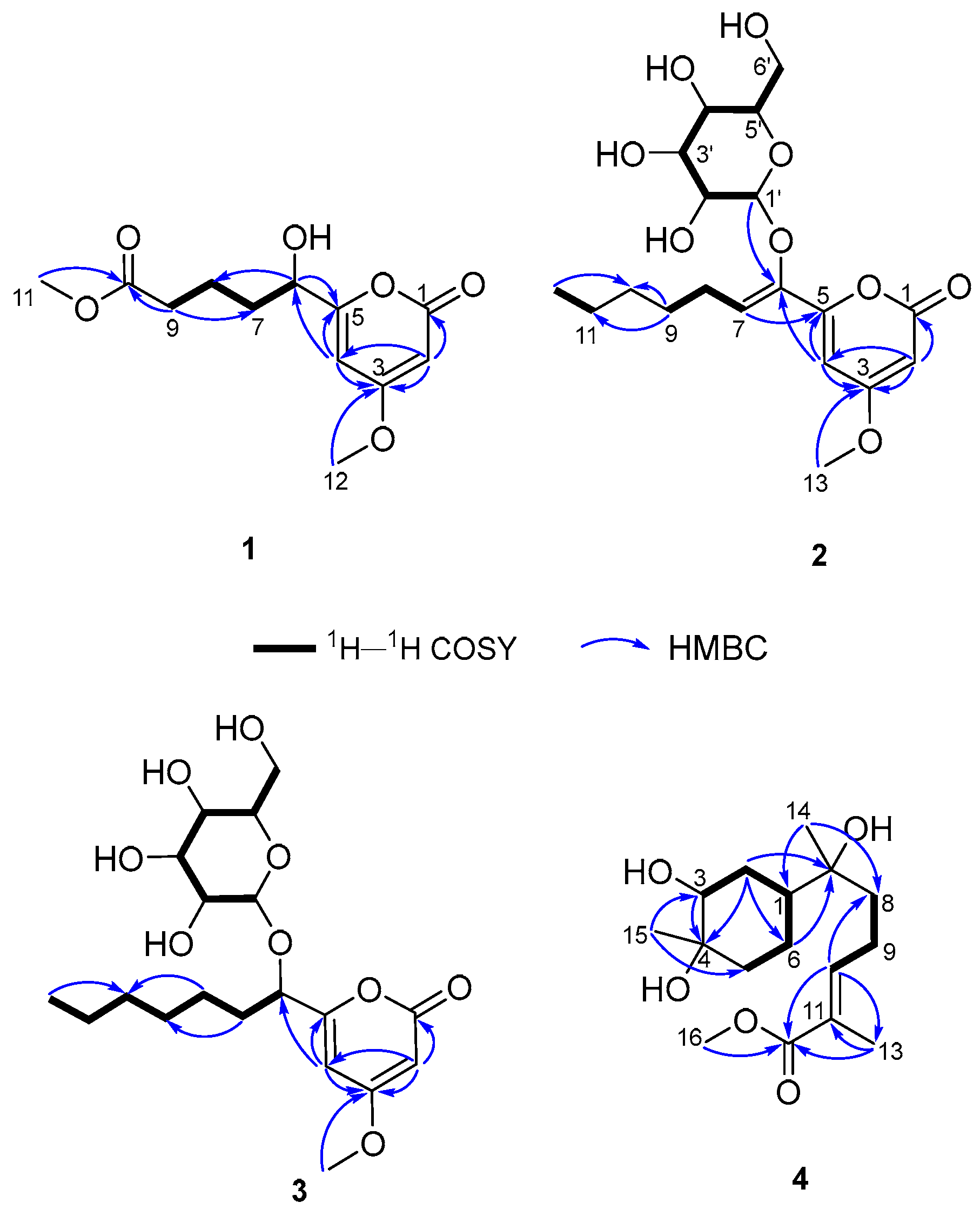 Molecules 29 01728 g002