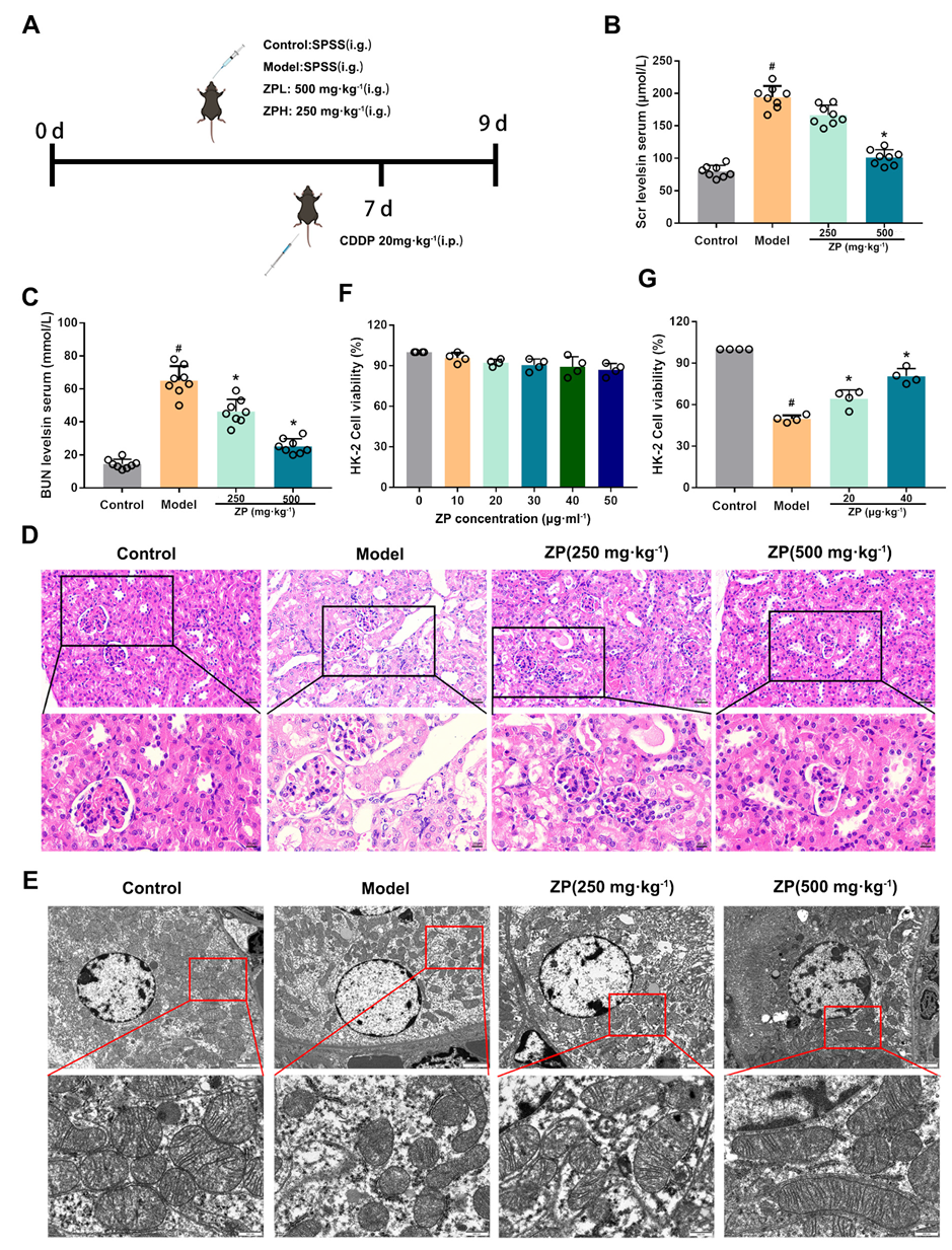 Molecules 29 01729 g001
