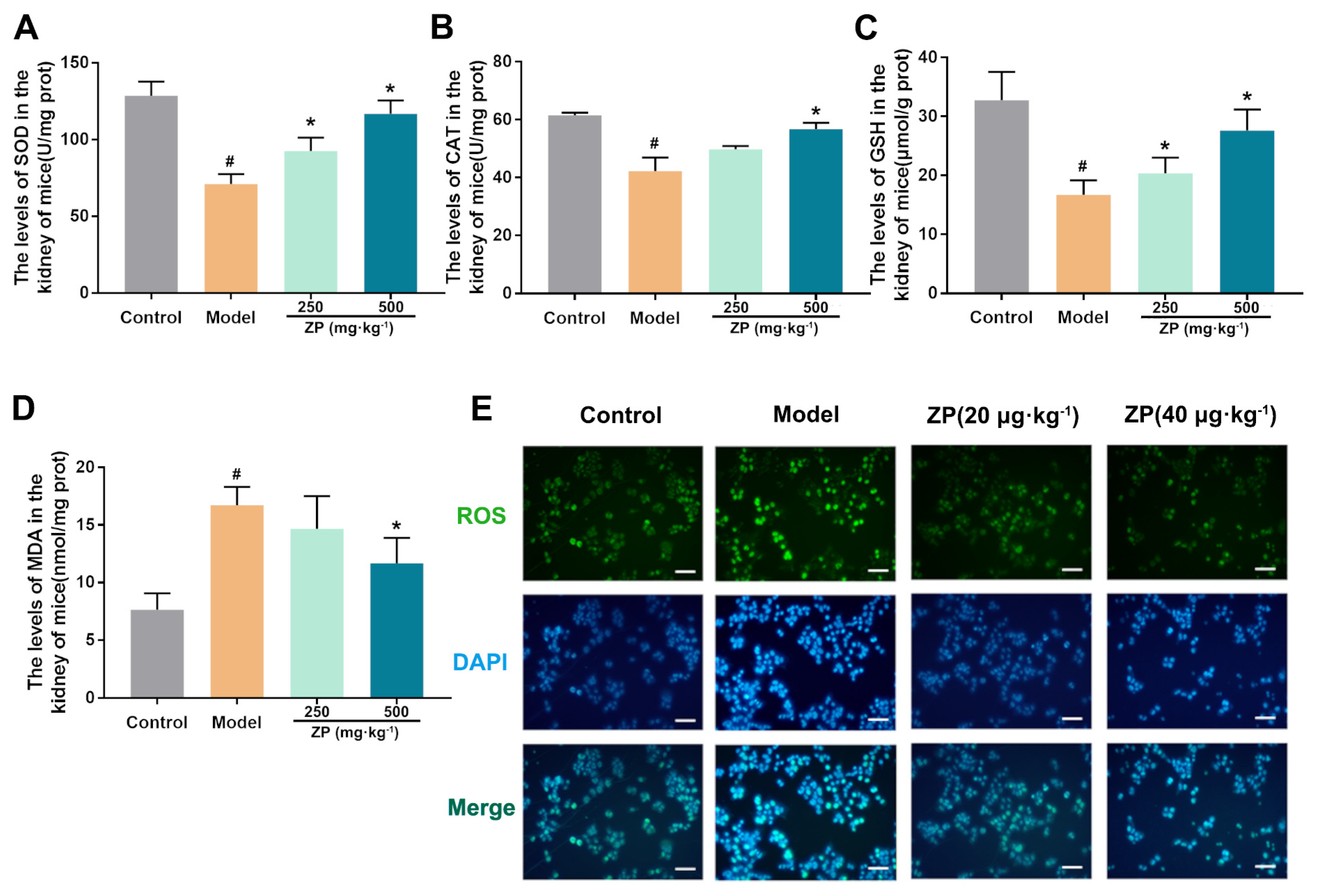 Molecules 29 01729 g002