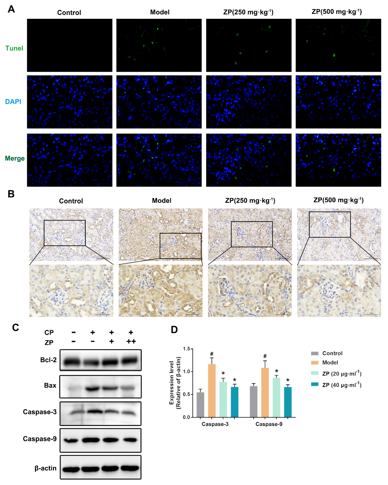Molecules 29 01729 g003