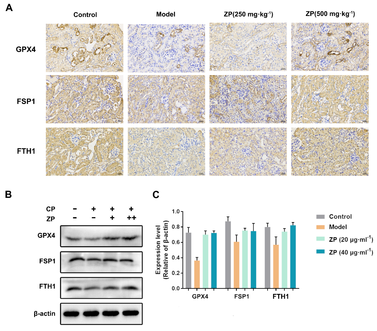 Molecules 29 01729 g004