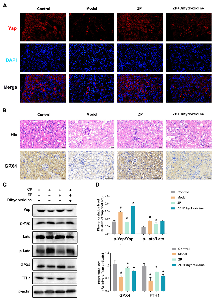 Molecules 29 01729 g006