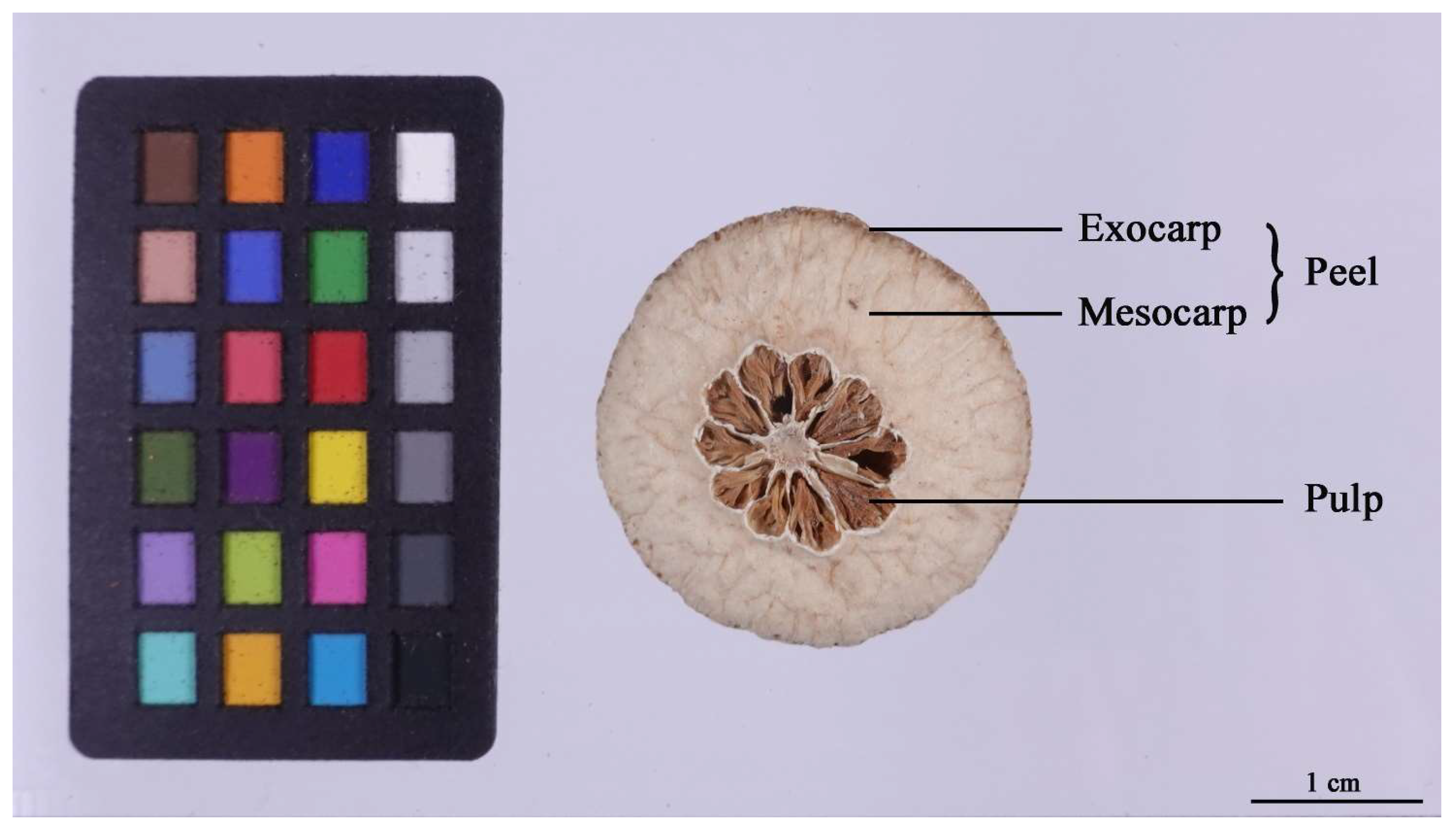 Molecules 29 01733 g009