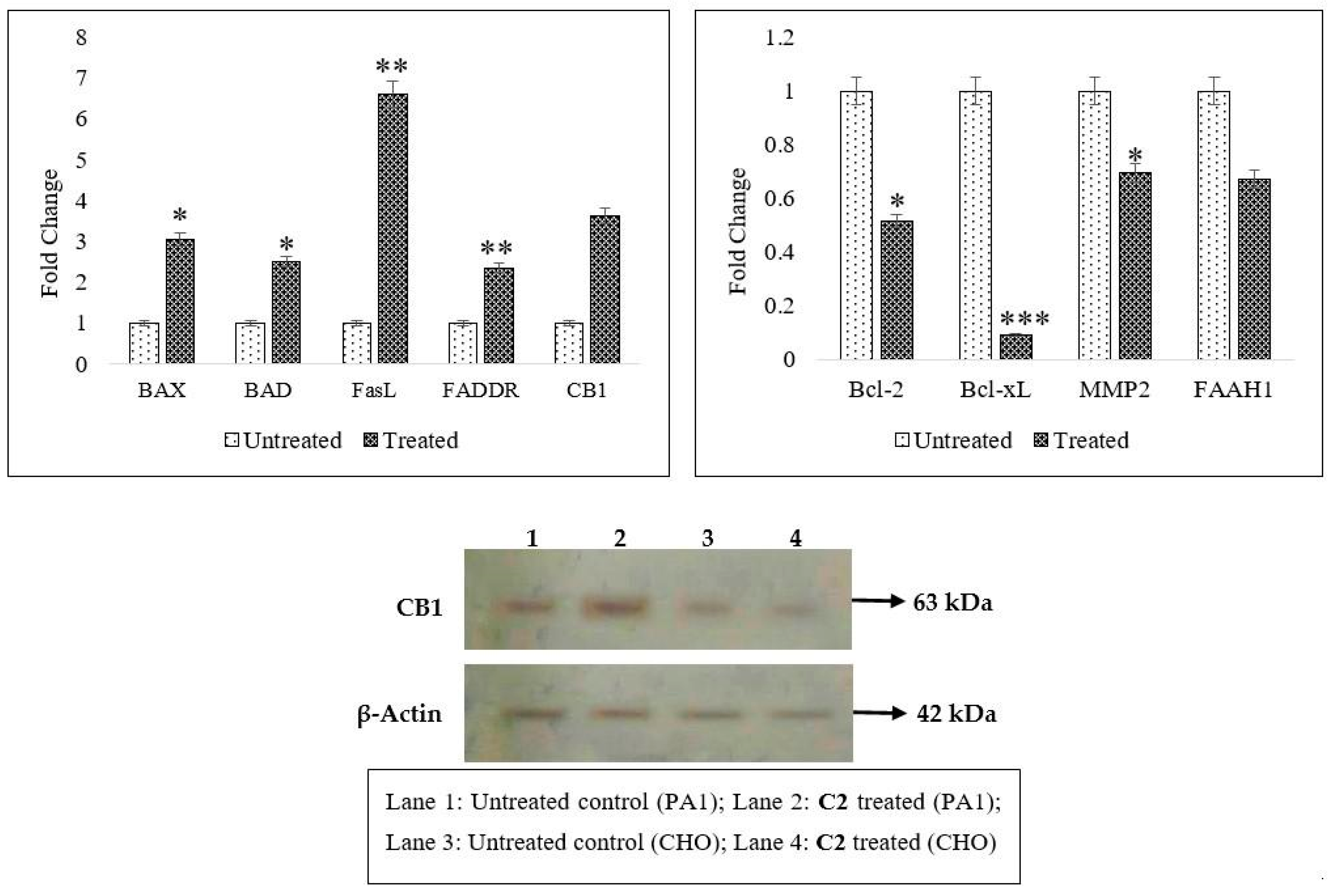 Molecules 29 01737 g003